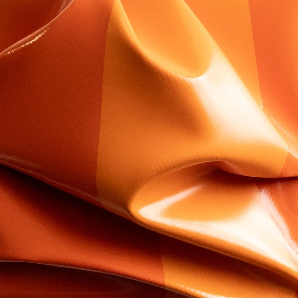 CLOSE_UP_LOBSTER_PASTEL_ORANGE.jpeg
