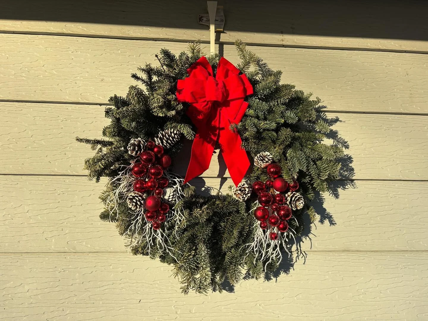 Merry Christmas Eve ❄️