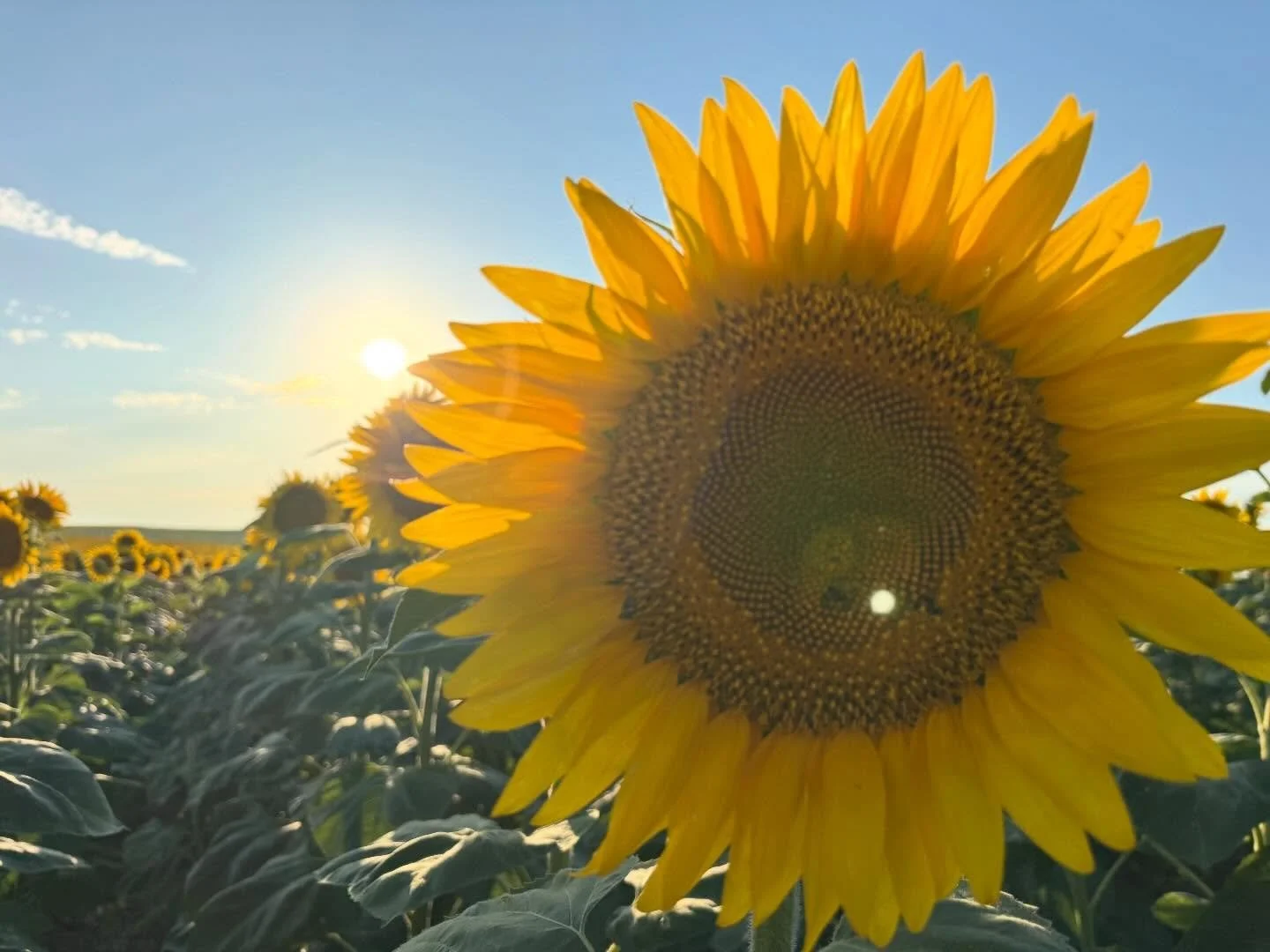 Apparently I haven&rsquo;t posted anything since the beginning of August&hellip;so here&rsquo;s a few favorites from the second half of 2025 ☀️ 

At the beginning of the year, I said I was &ldquo;taking a year off&rdquo; from posting. But a year late