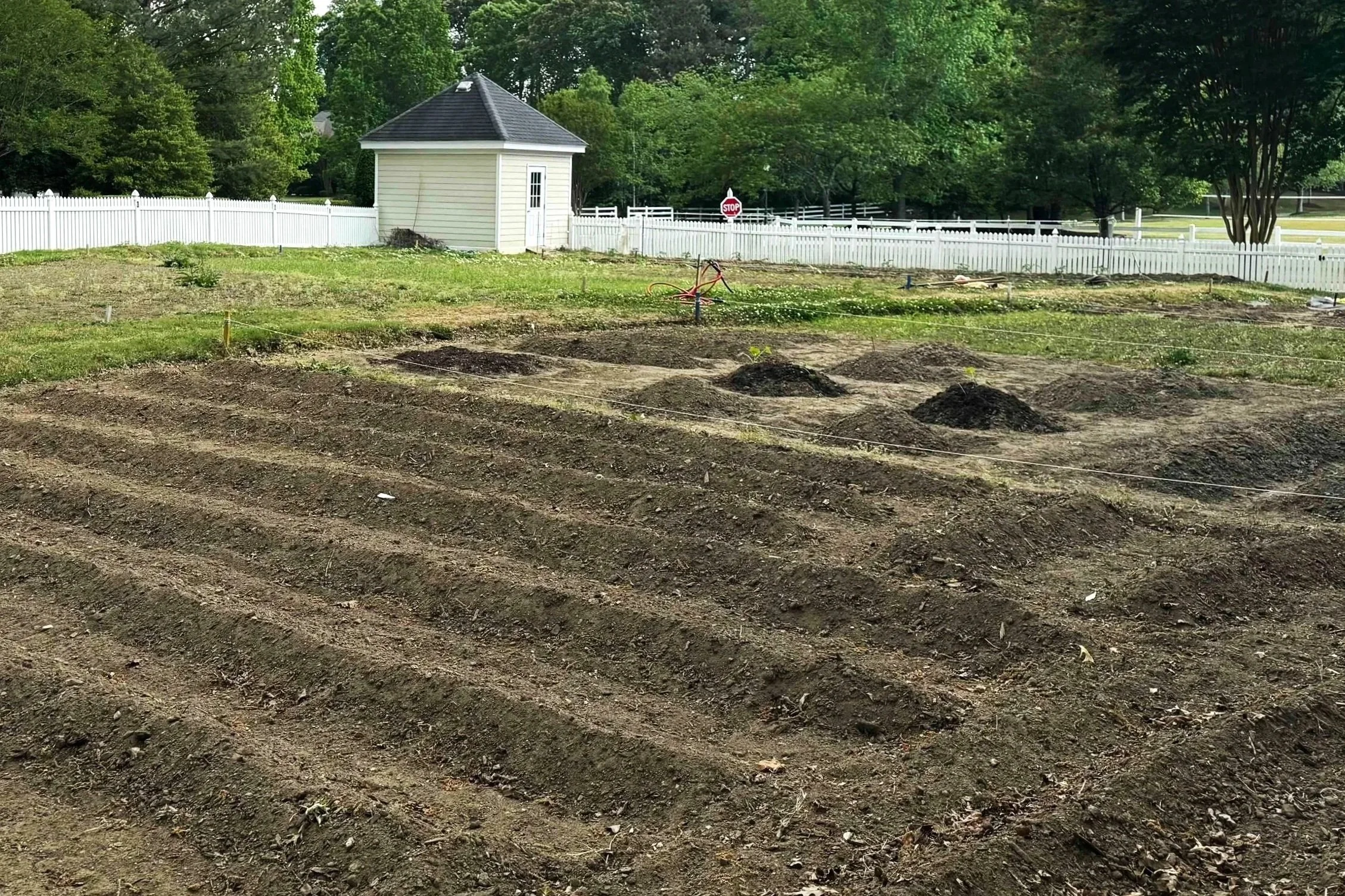 Community Garden