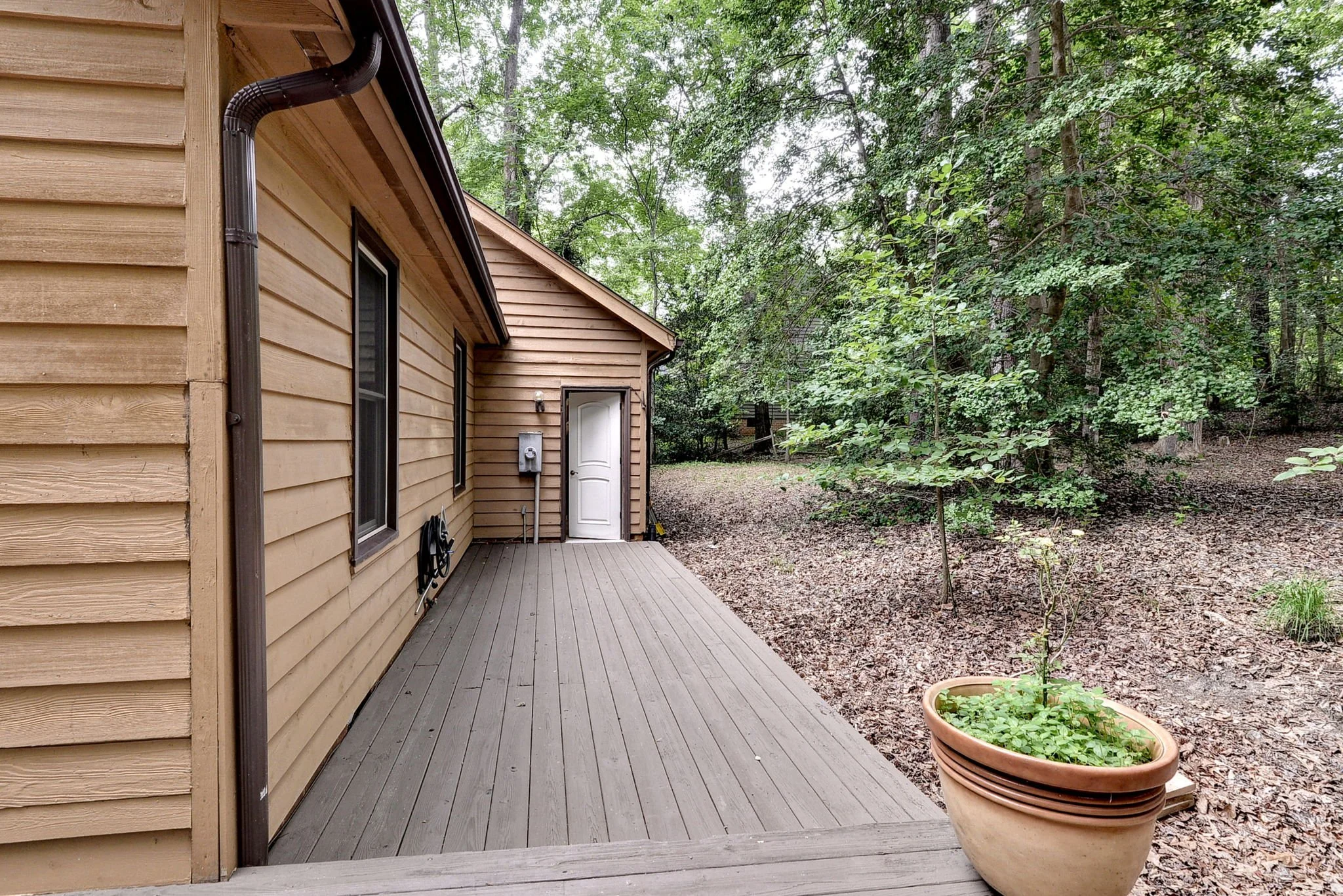 Back Deck