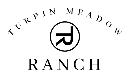 Rectangle 23.png