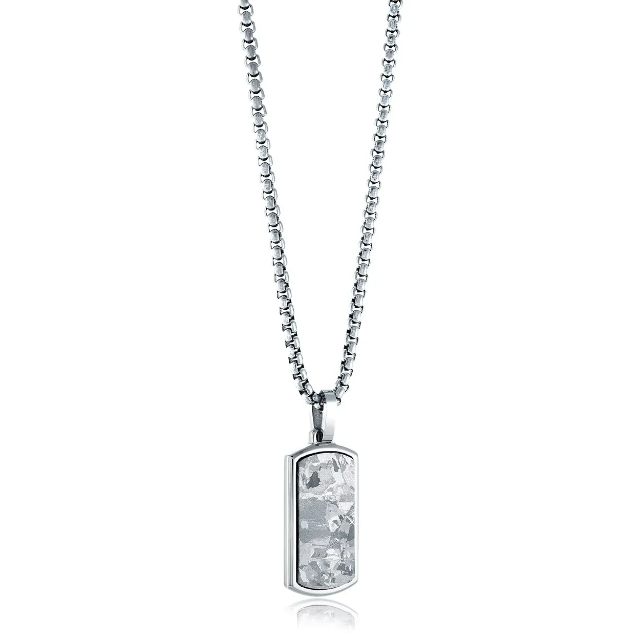 micro dogtag.webp
