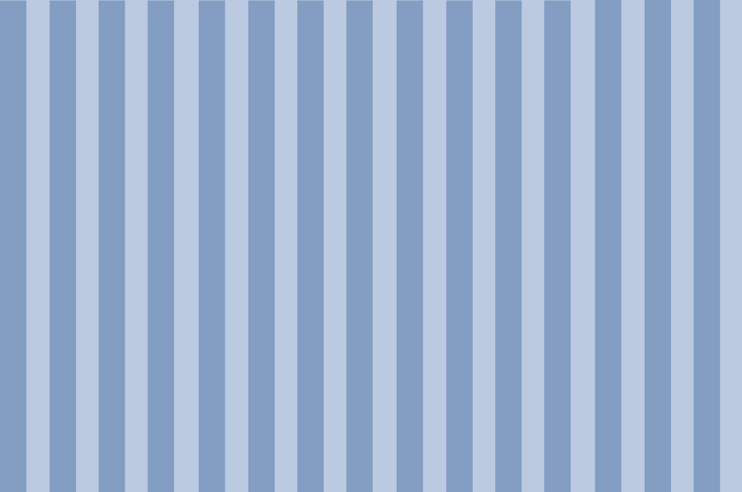 Videography & Motion Graphics