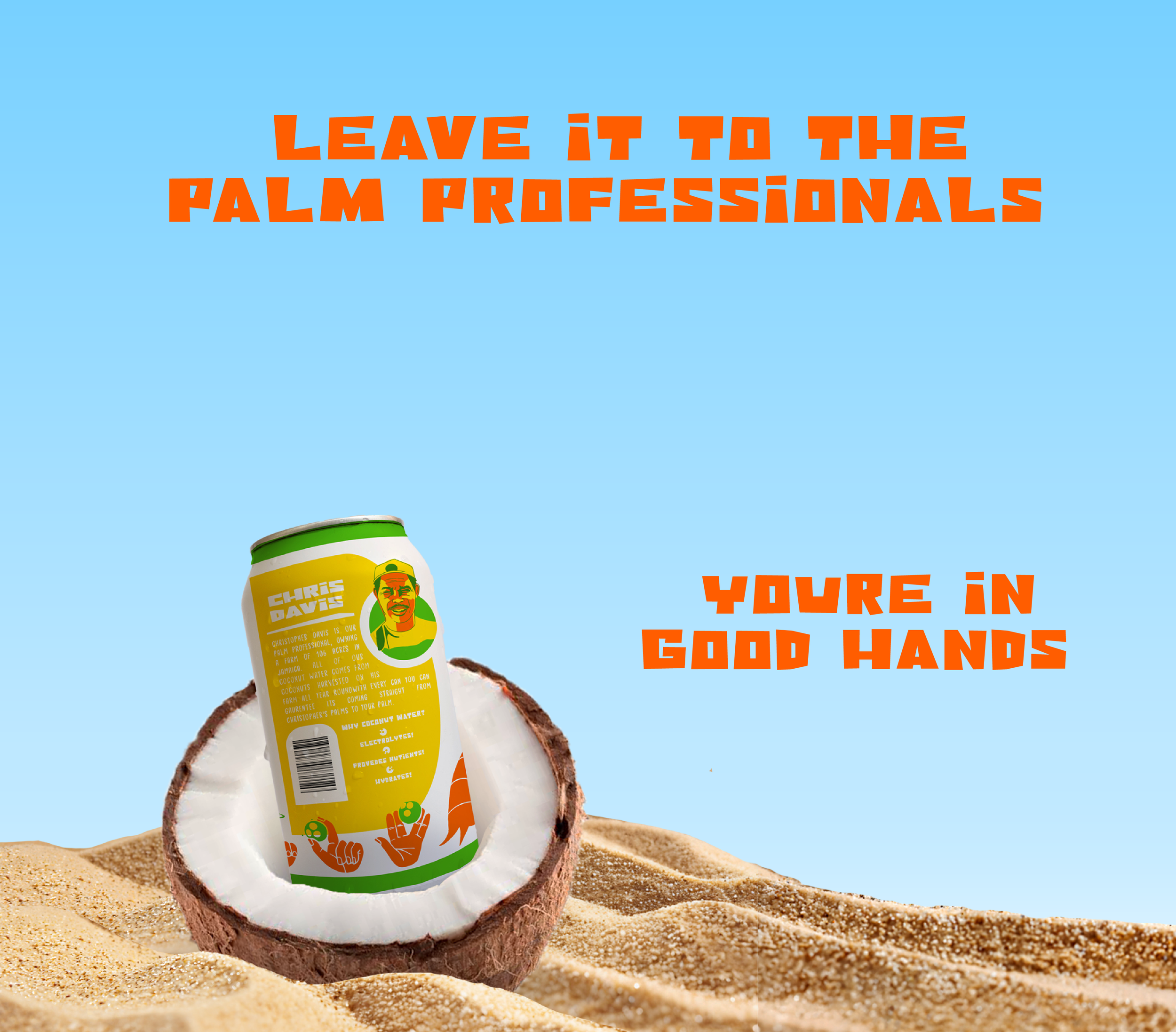 palm2palm--12.png