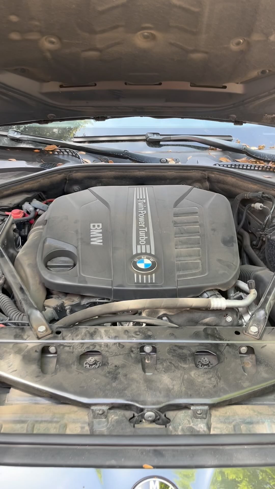 This BMW’s engine bay went from dusty to dealership fresh. A clean engine isn’t just for looks — it helps spot leaks, extends component life, and shows you care. Book your detail today!