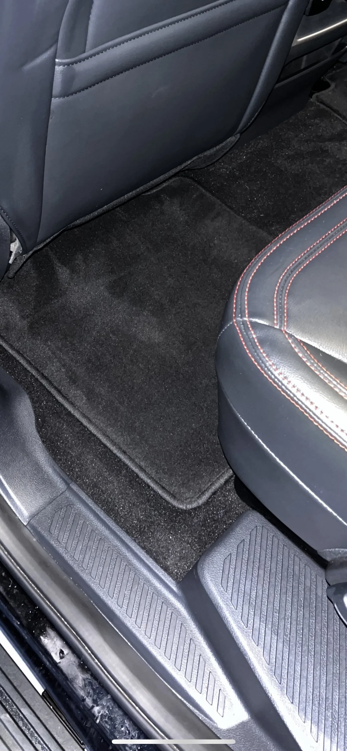 Clean from Pet hair on floor mat after detailing