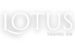 lotus travel agent