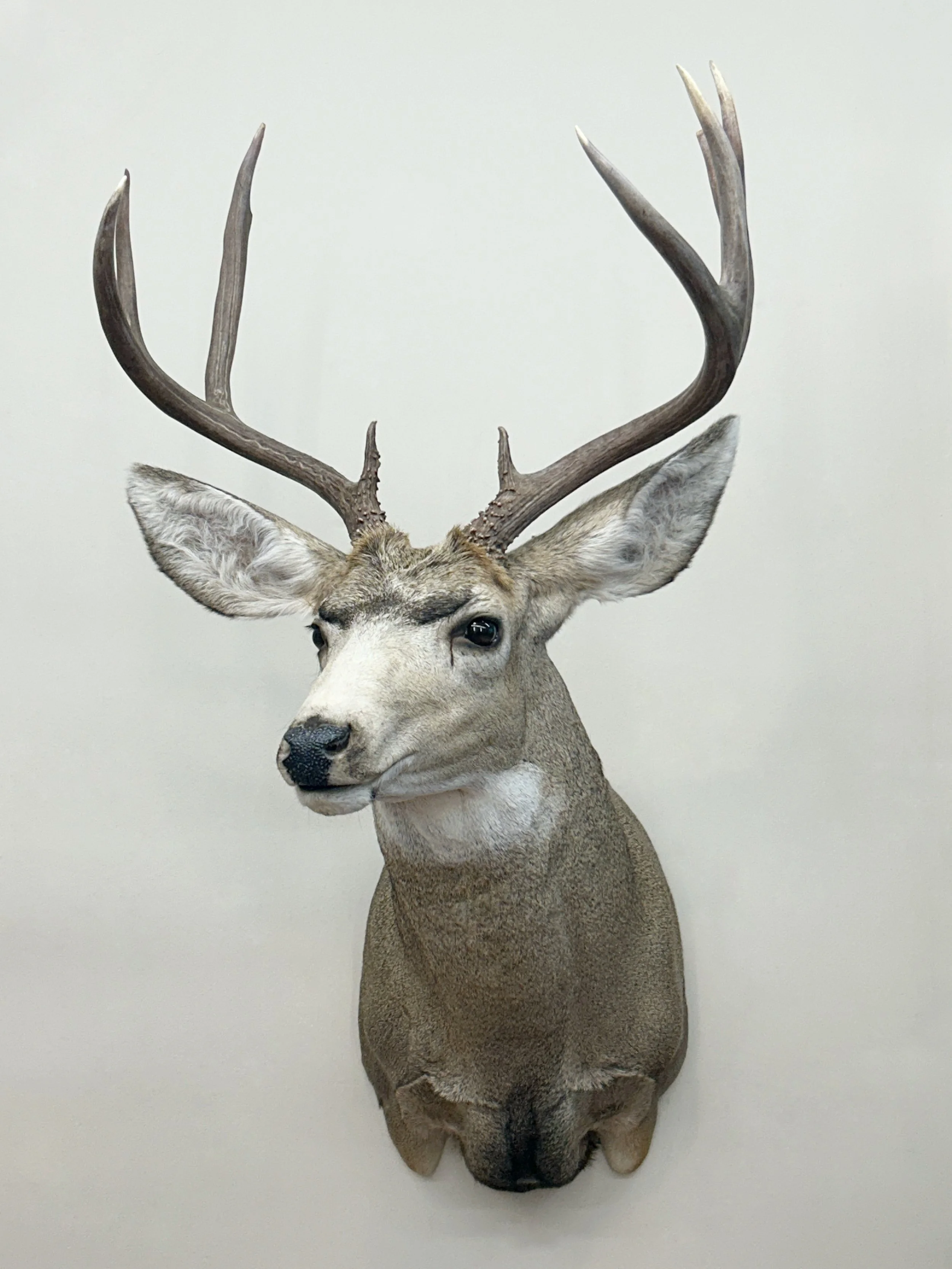 IMG_7658.jpg