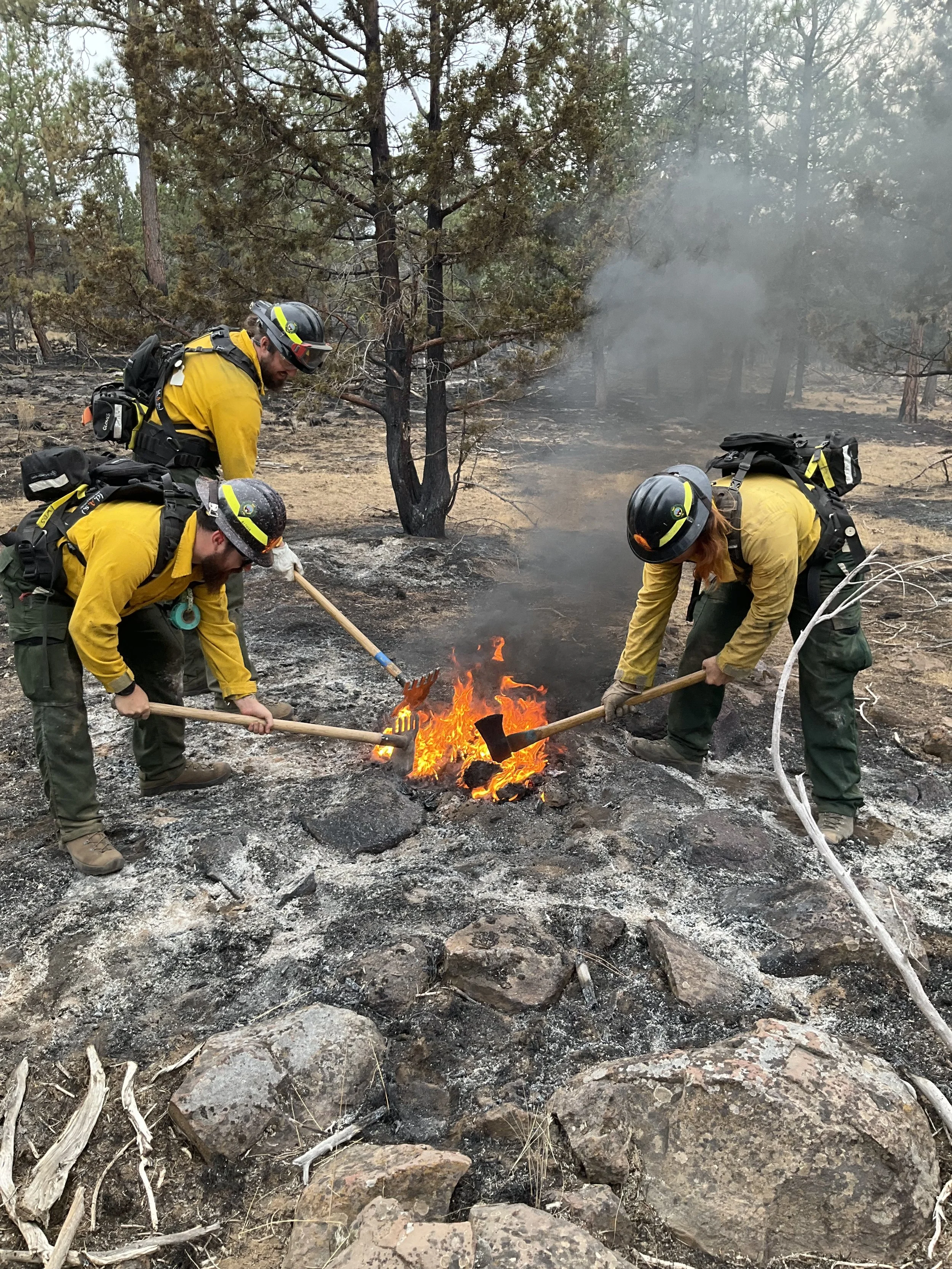 Cooley, Ashlee—Flat_Fire—010.jpeg