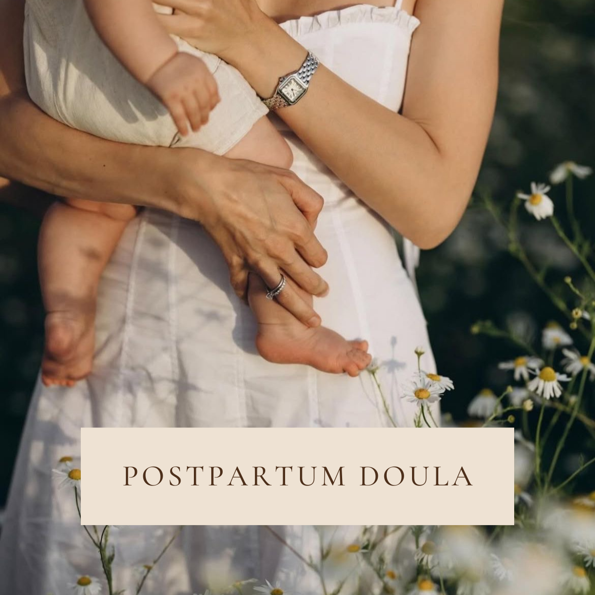 Close-up of a woman holding a baby in a field of daisies, with a beige box displaying the text 'POSTPARTUM DOULA'.