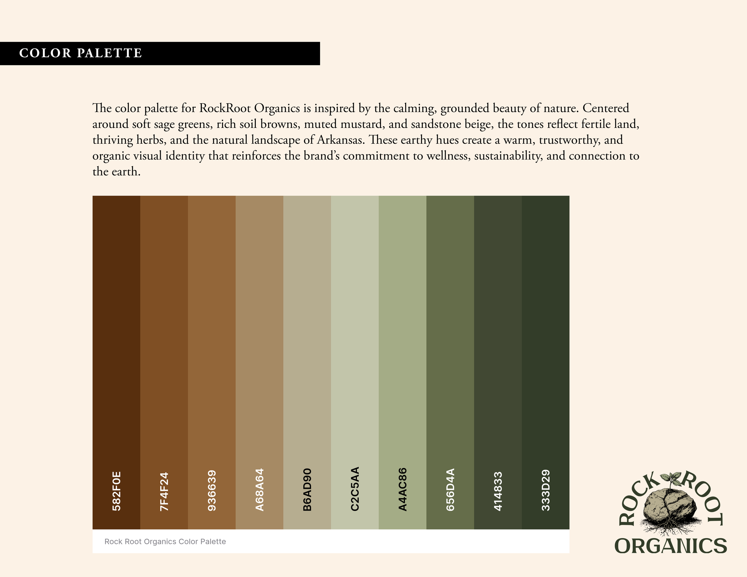 BSG_Color Palette.png