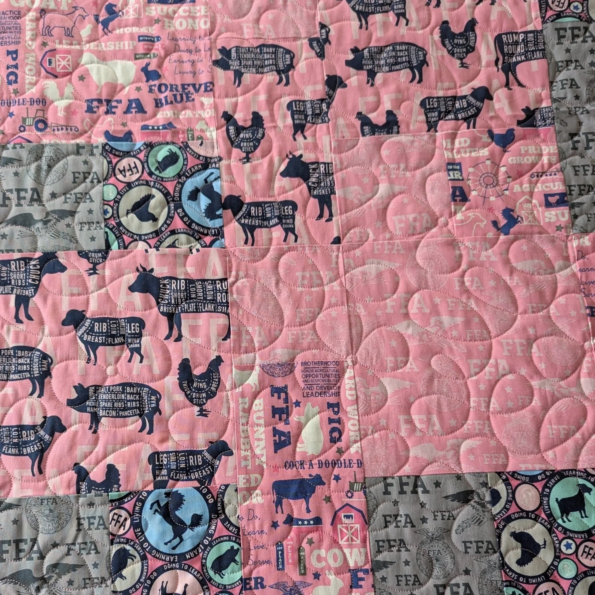 petal+twirl+panto+on+pink+ffa+quilt+with+border.jpg