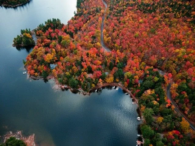 An aerial view of a lake surrounded by a densely forested area with trees in vibrant fall colors of red, orange, and yellow. A winding road runs through the forest, with a few houses and boats along the shoreline.
