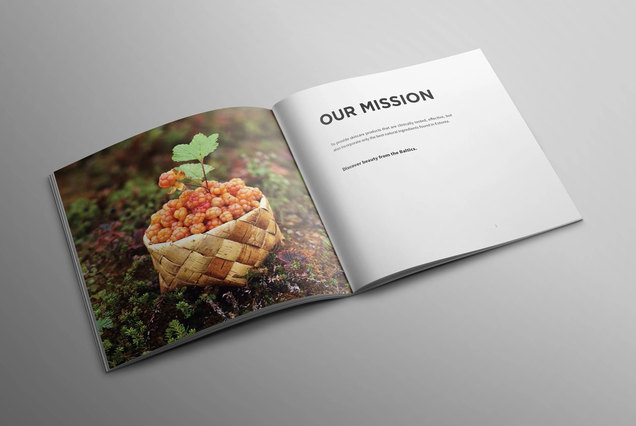 botaanika-spread-mockup-1.jpg