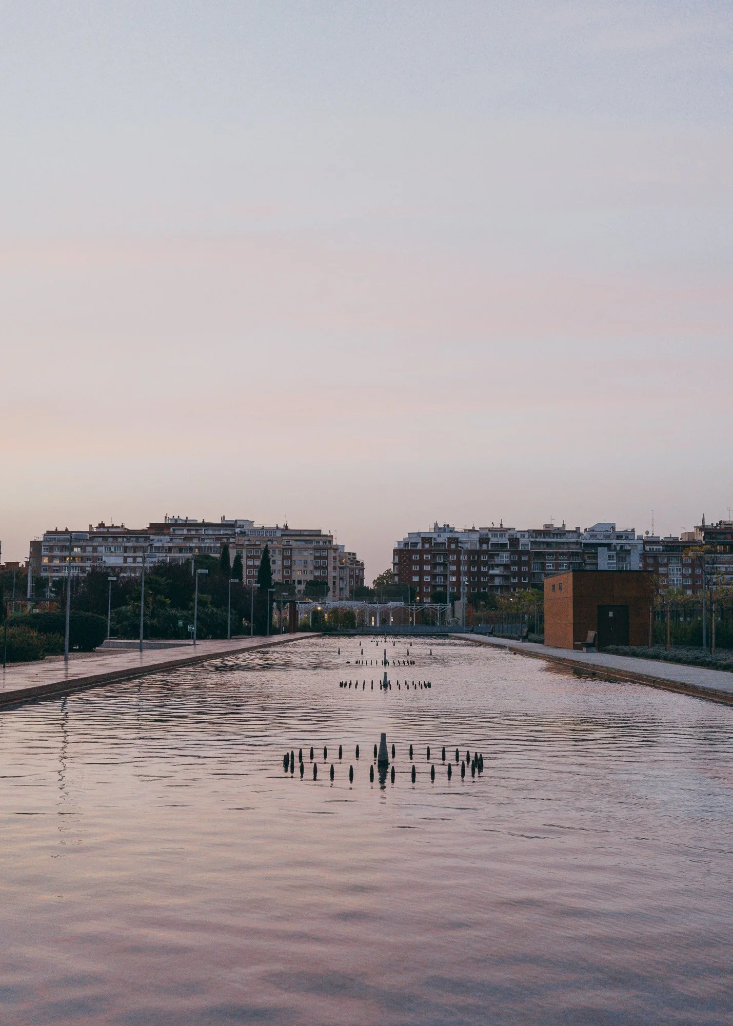 Madrid 2024_11-1_Web.jpg