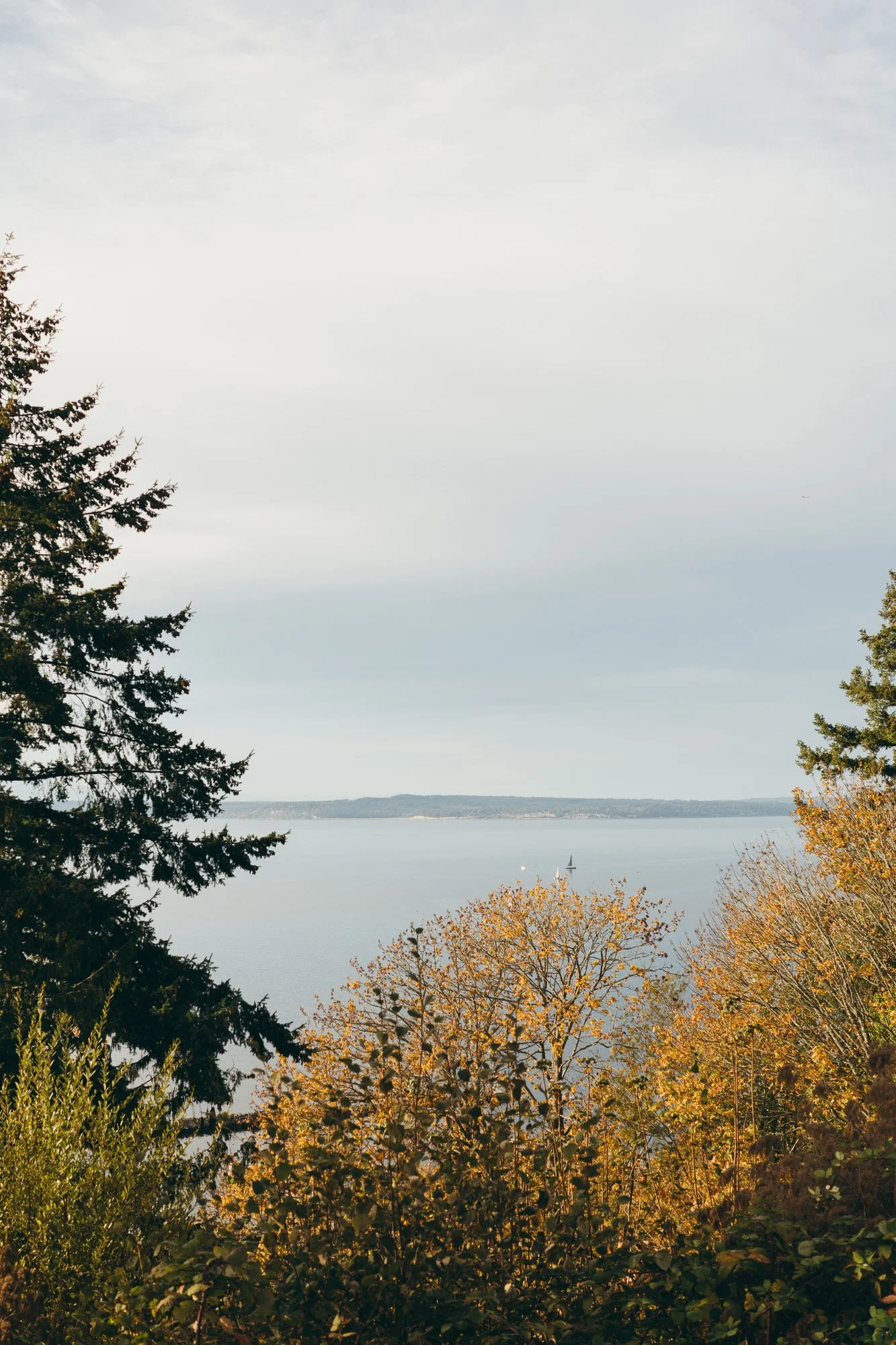 Seattle’s many blues
