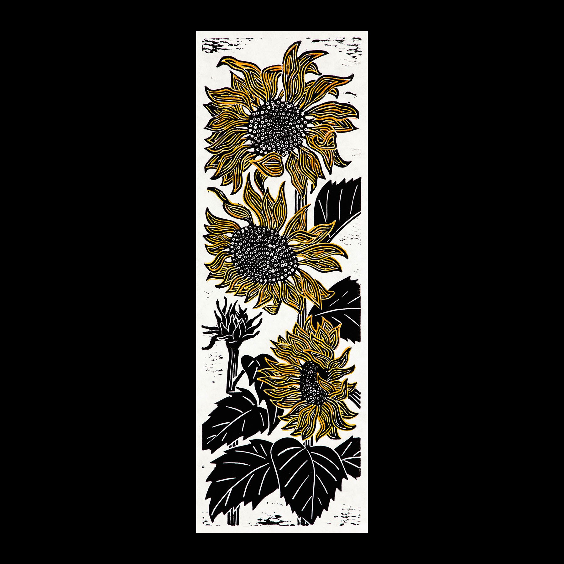 Sunflowers II
