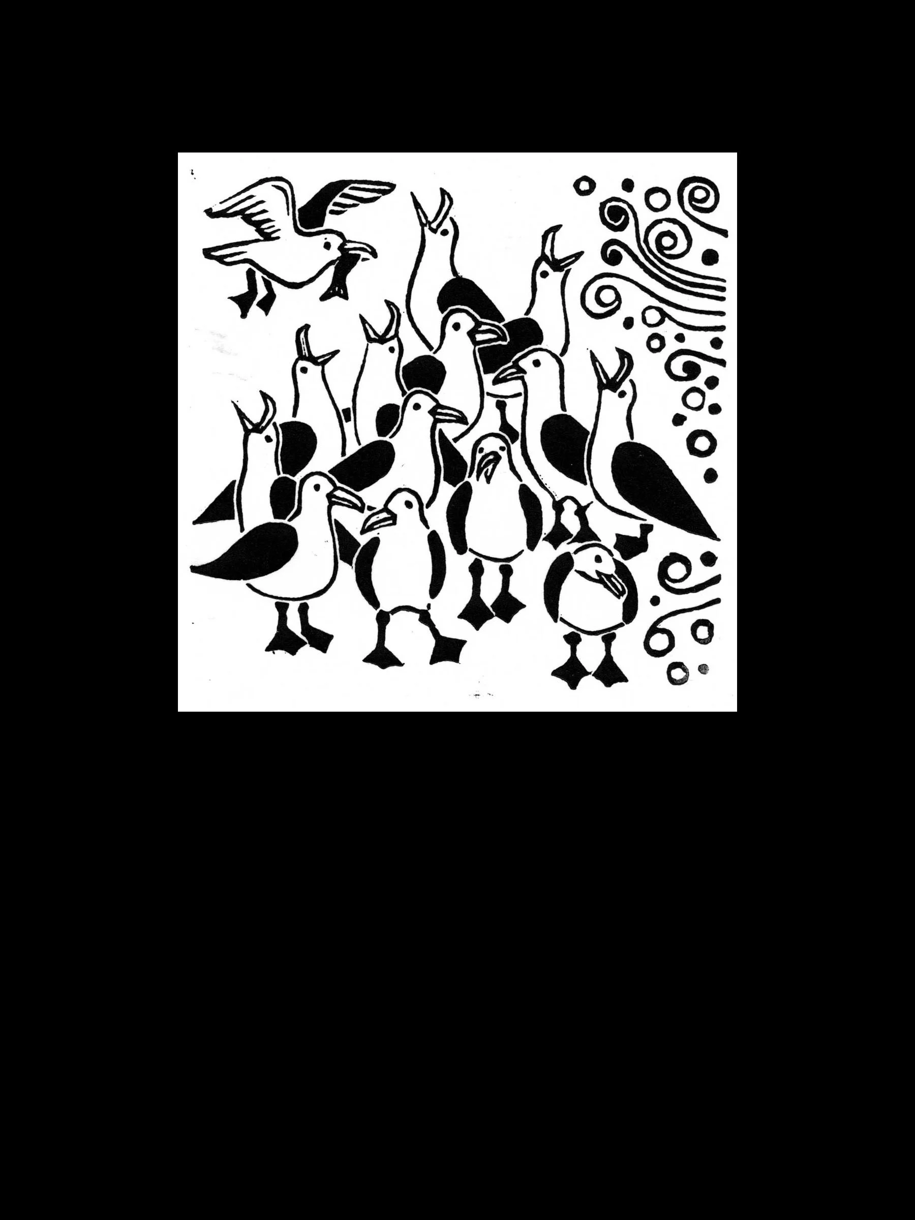 Goofy_Gulls.jpg