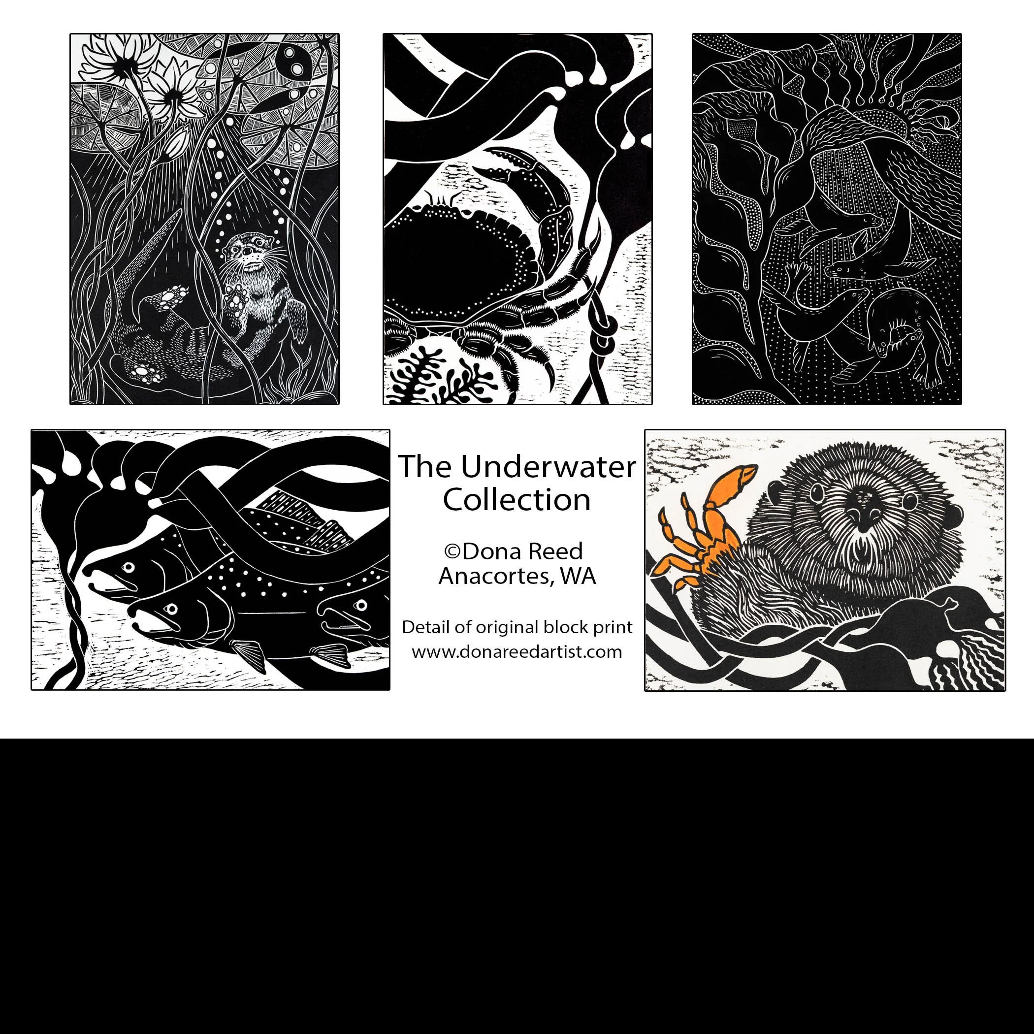 The Underwater Collection