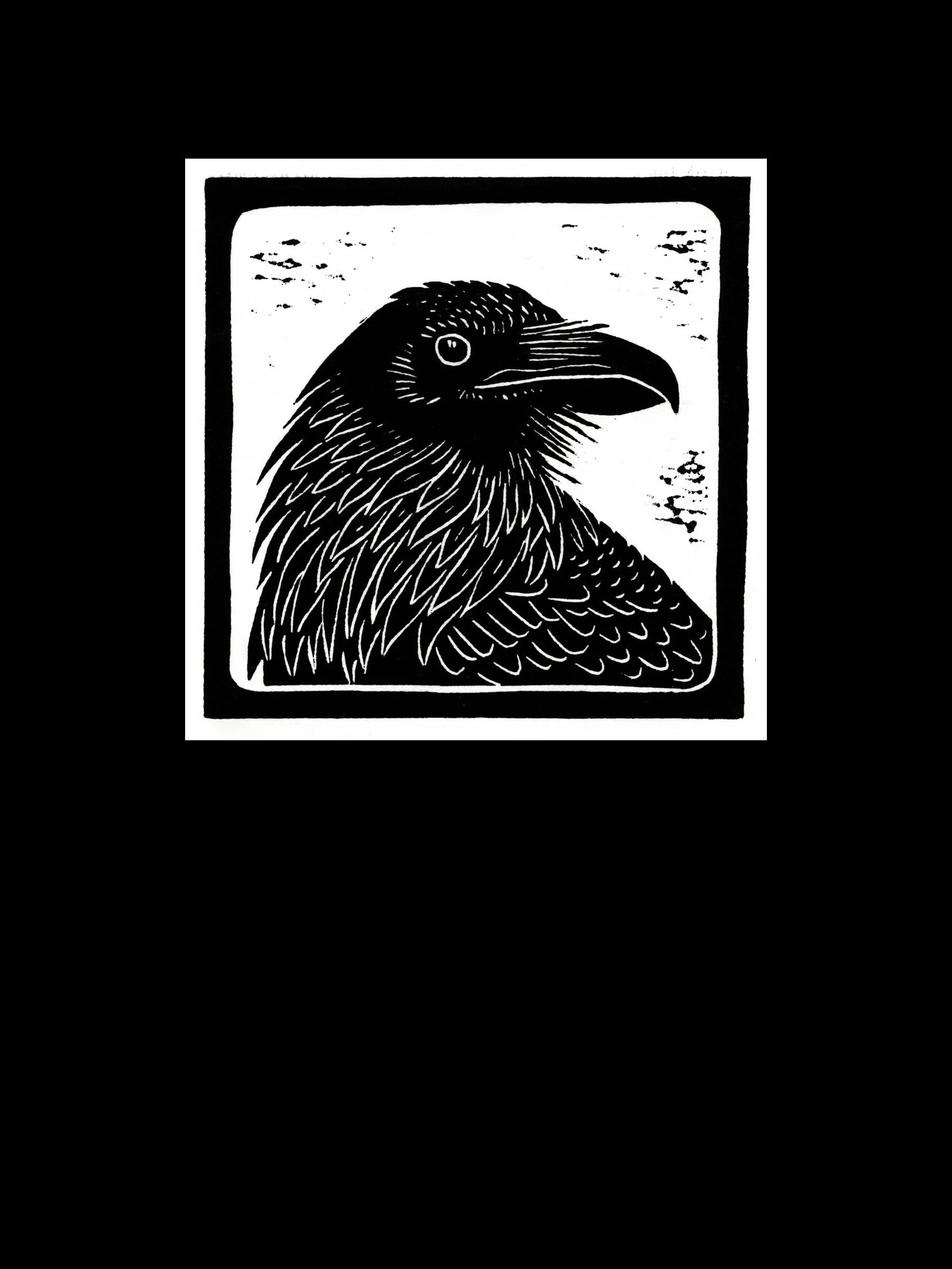 Raven_1.jpg