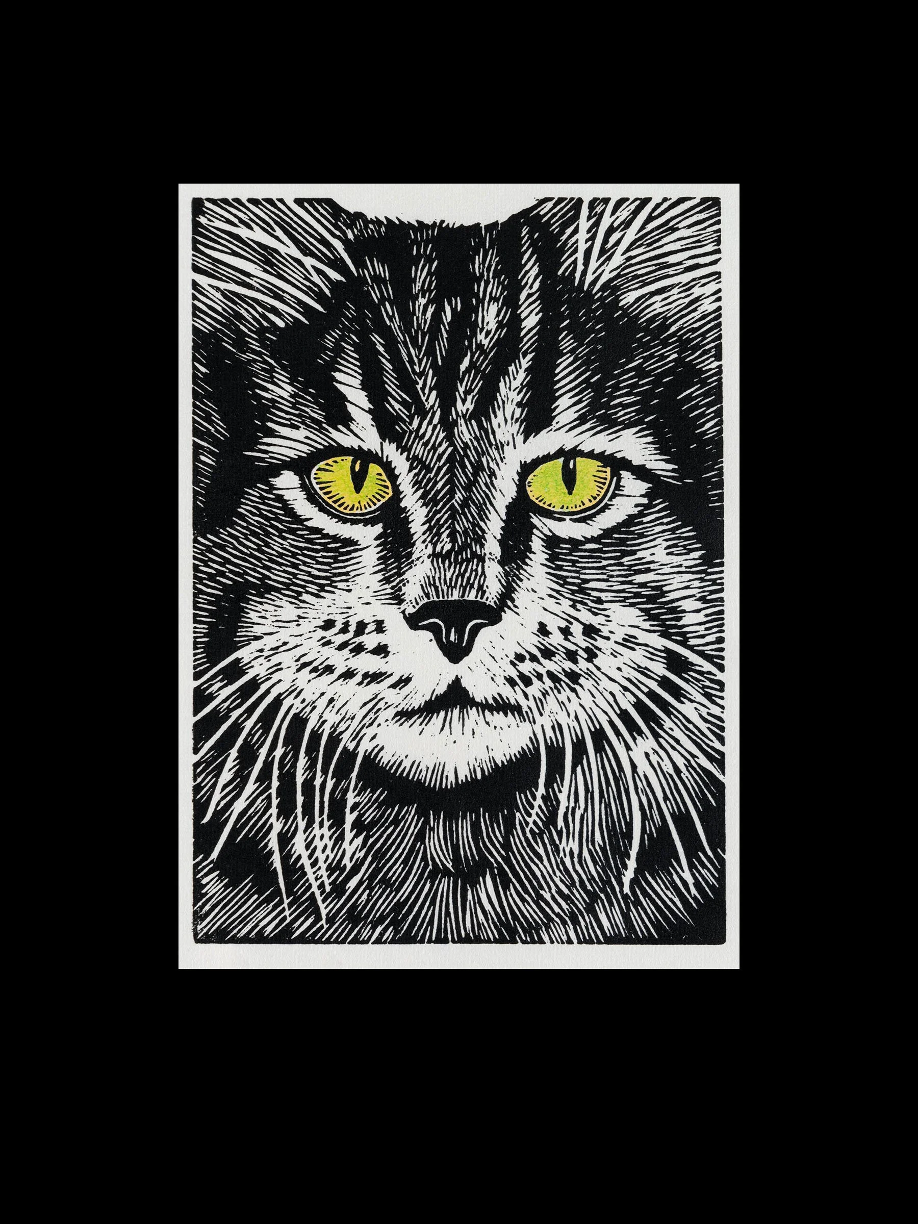 Green-eyed Cat