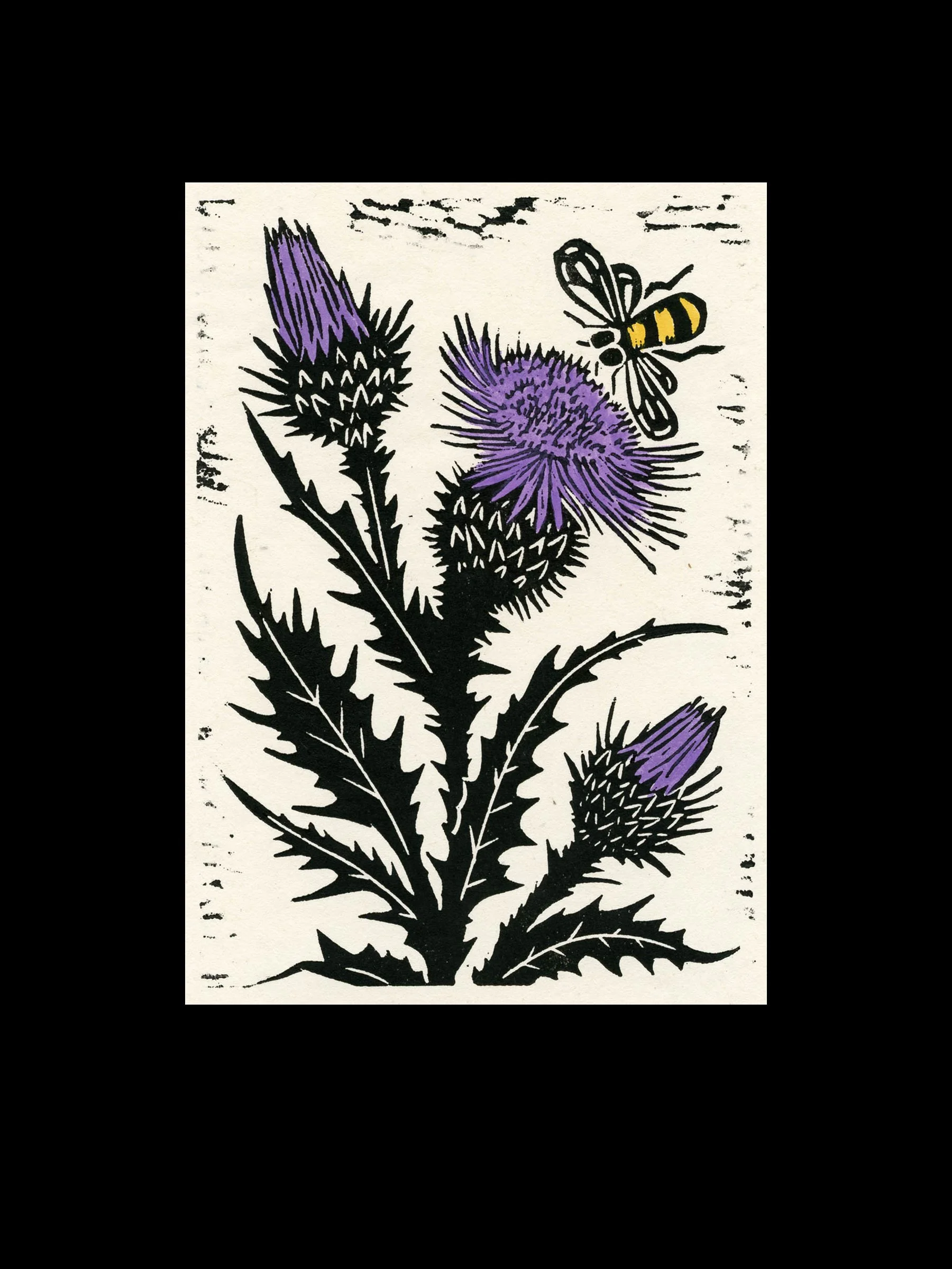 Thistle