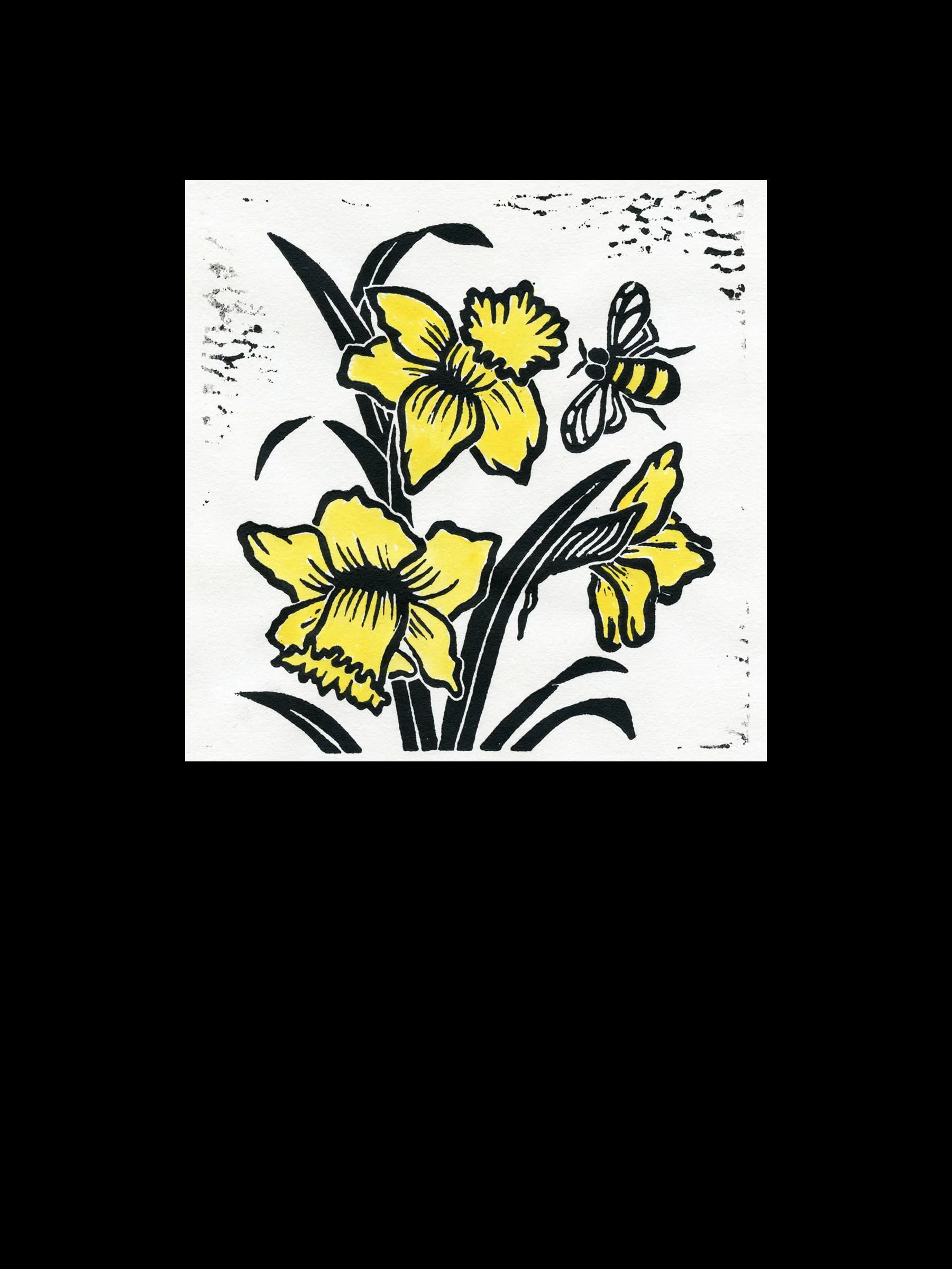 Daffodils