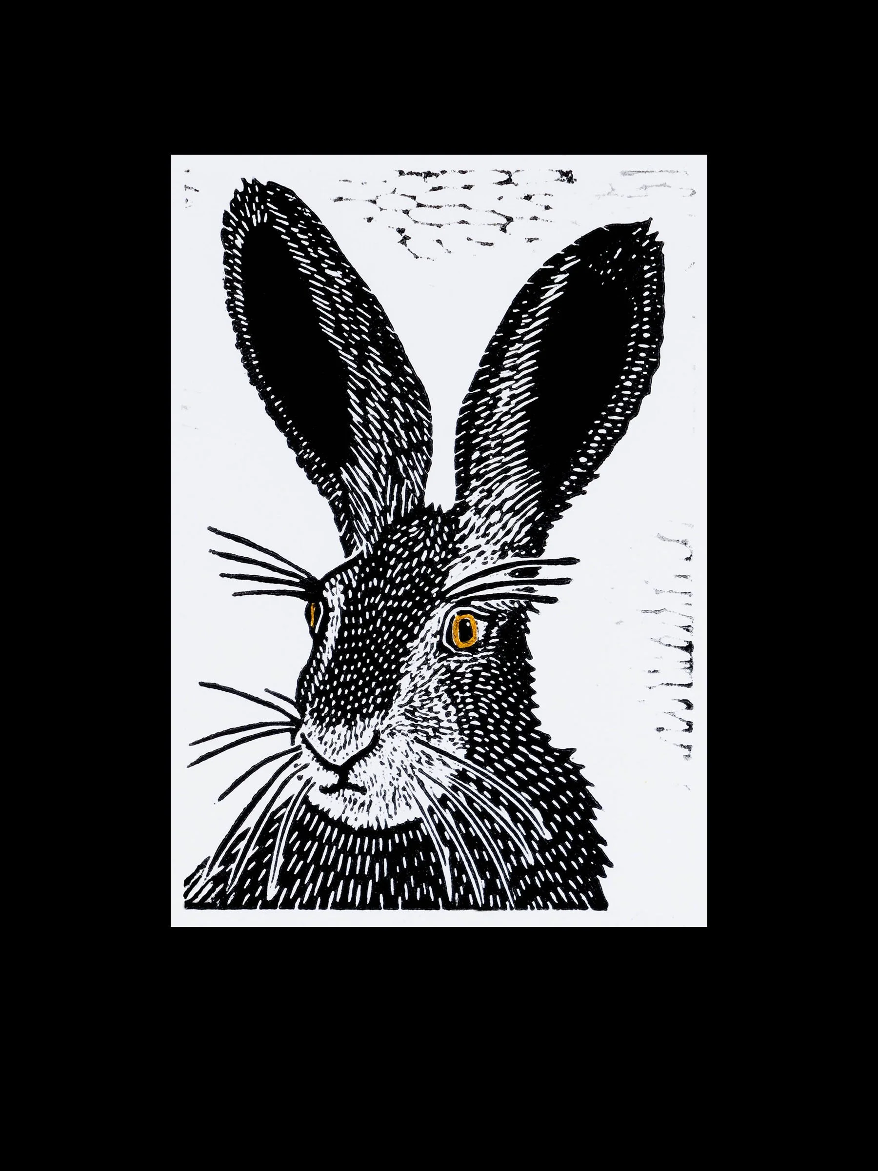 Brown Eyed Hare