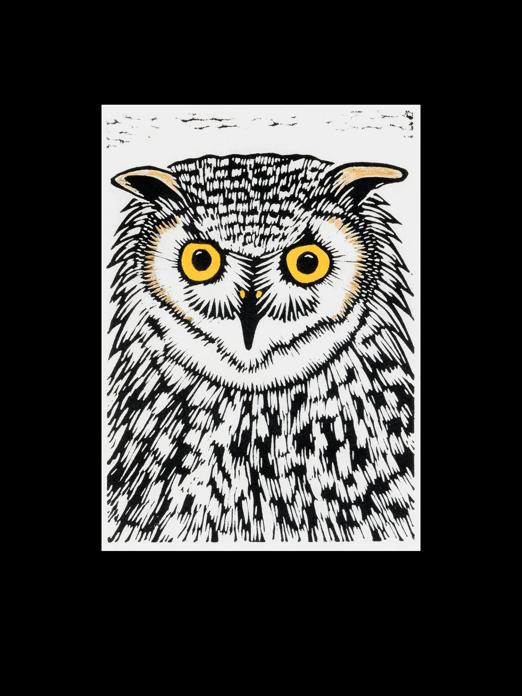 Hoot III