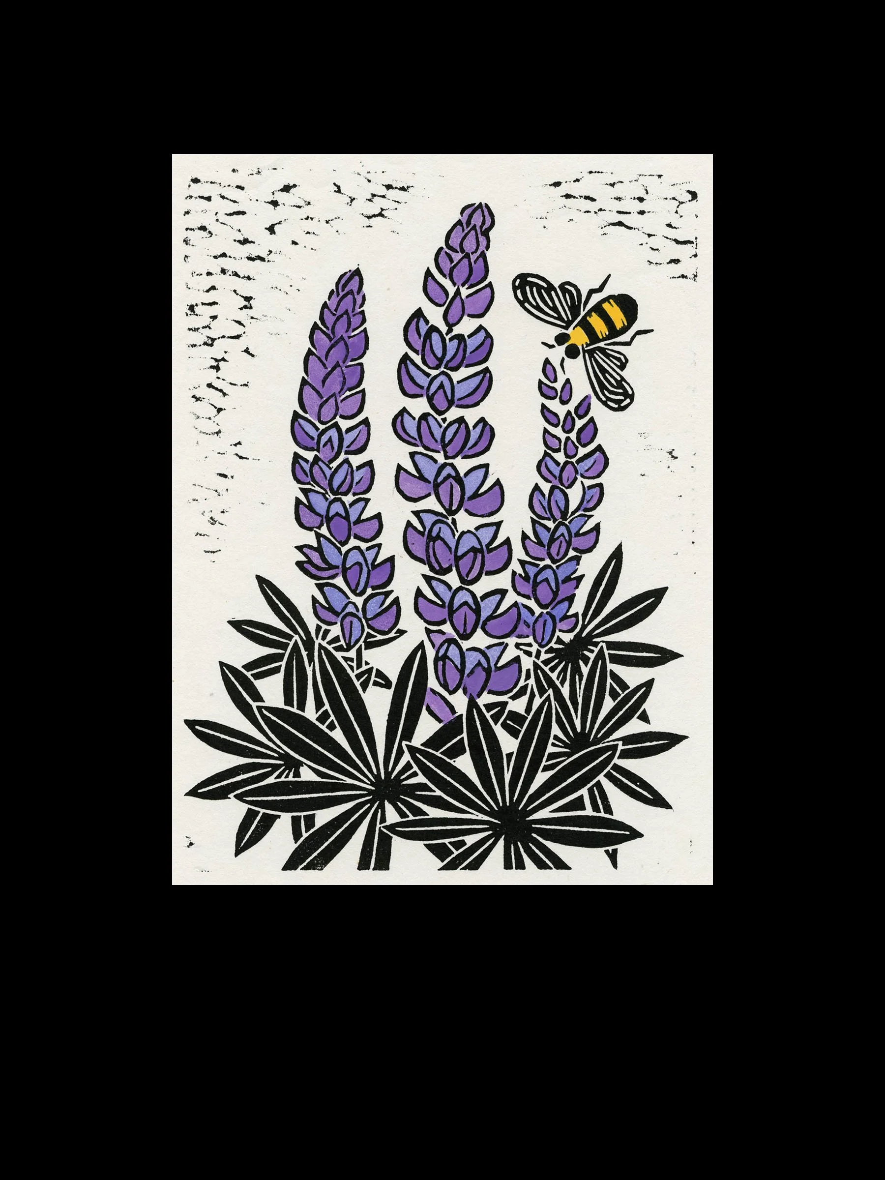 Lupine