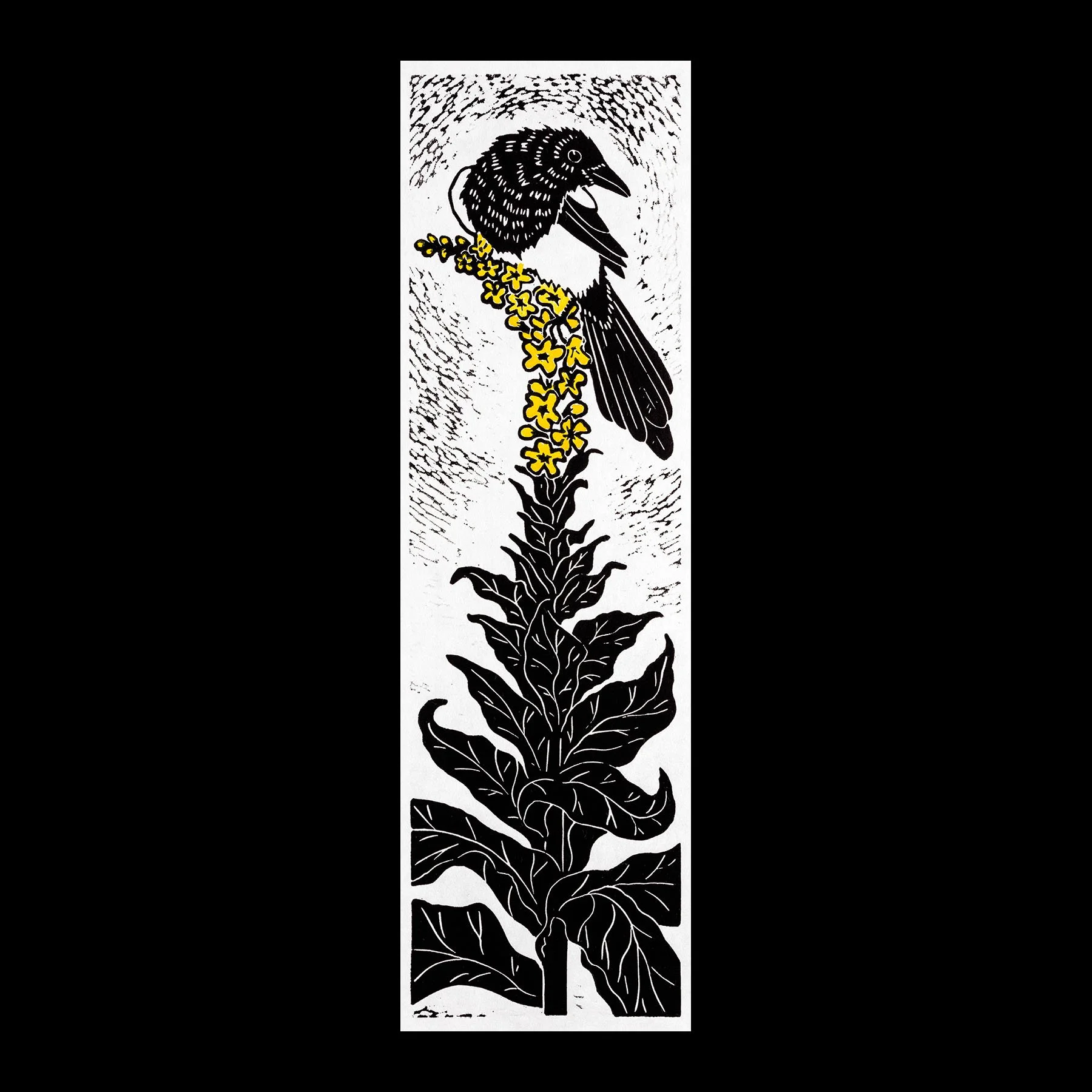 Magpie on Mullein
