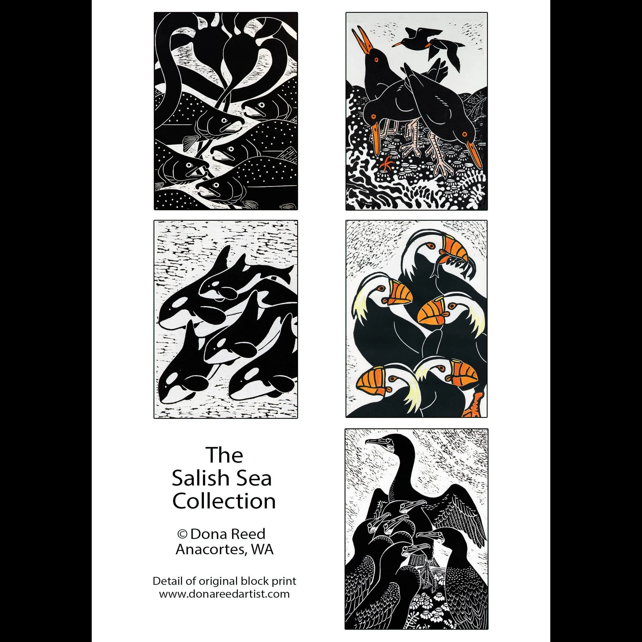 SalishSea Backcard v2.jpg