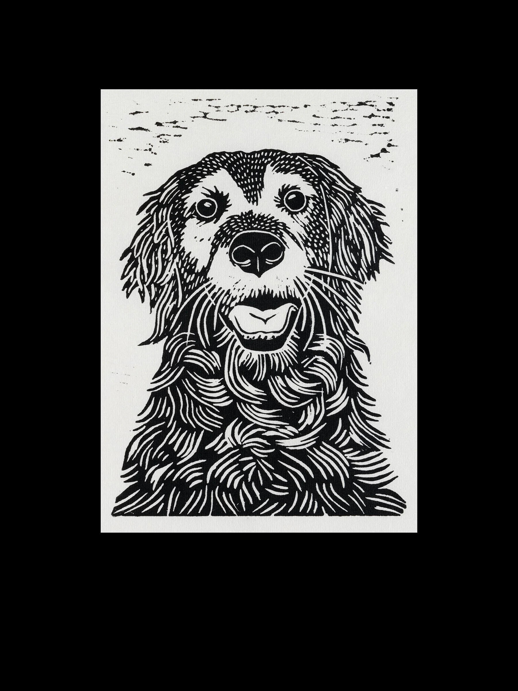 Old Dog