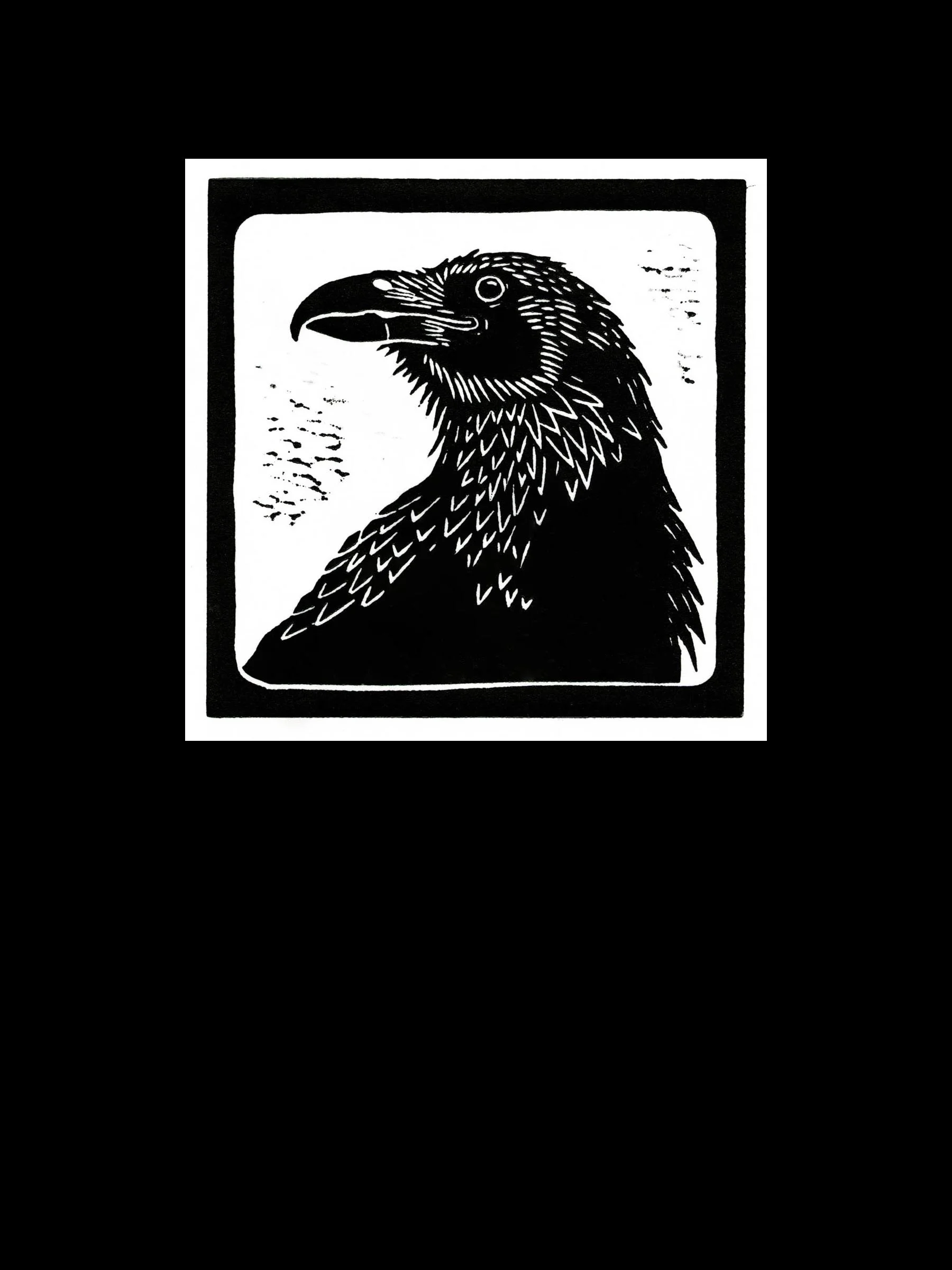 Raven_4.jpg