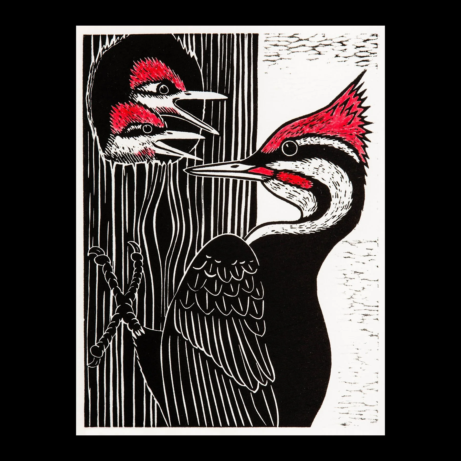 Pileated Woodpecker