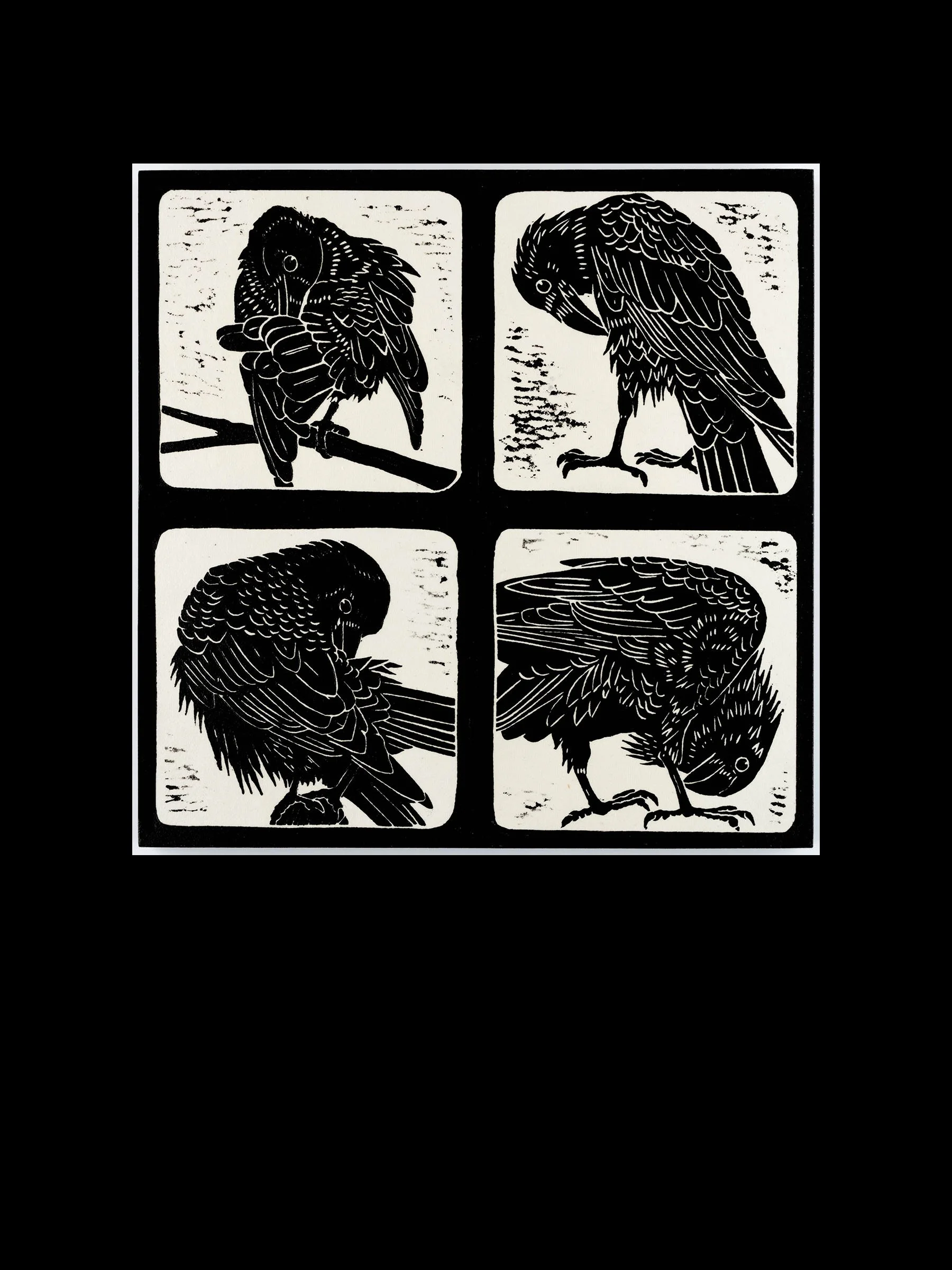 Primping Crows Collection