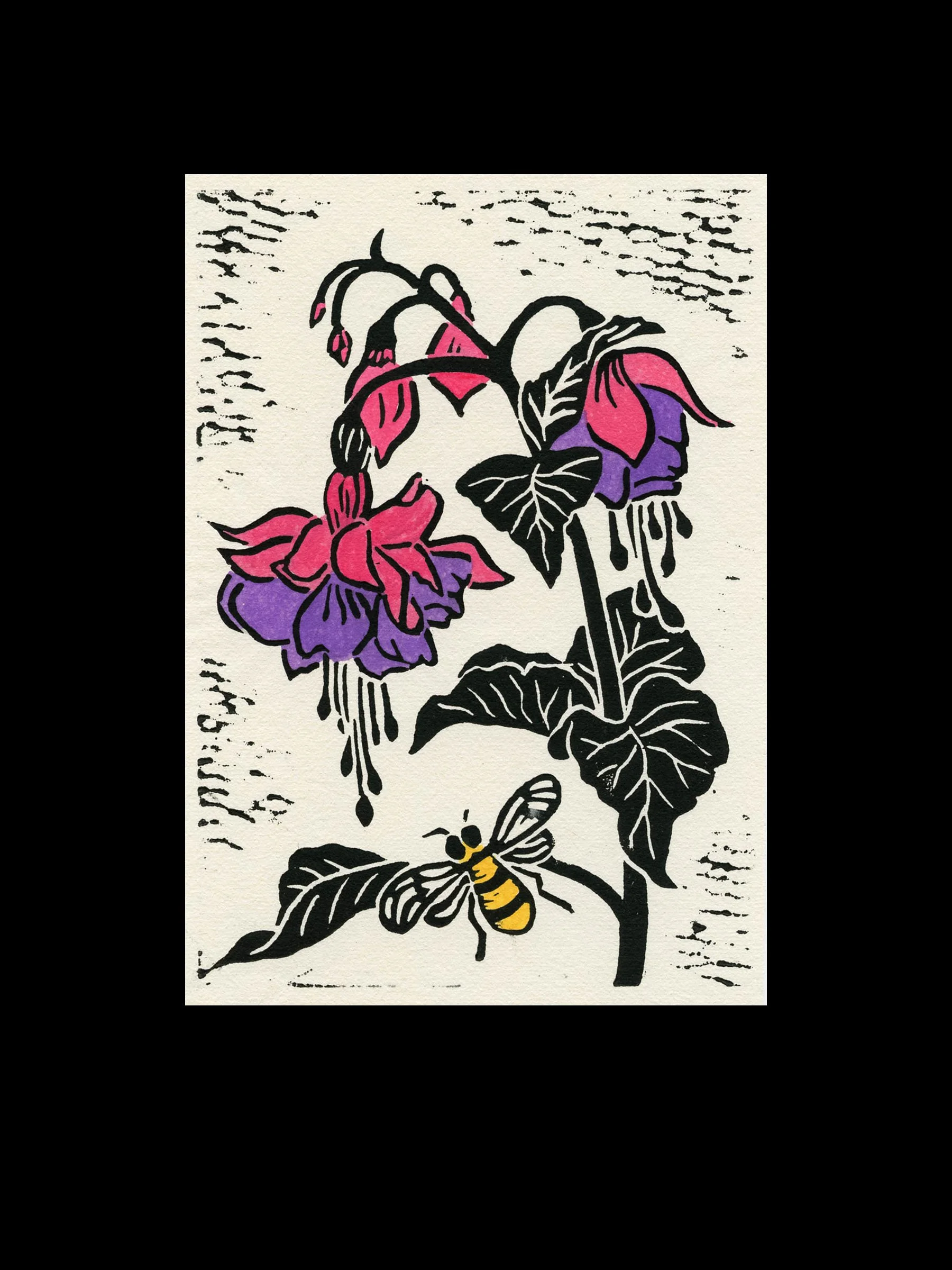Fuchsia