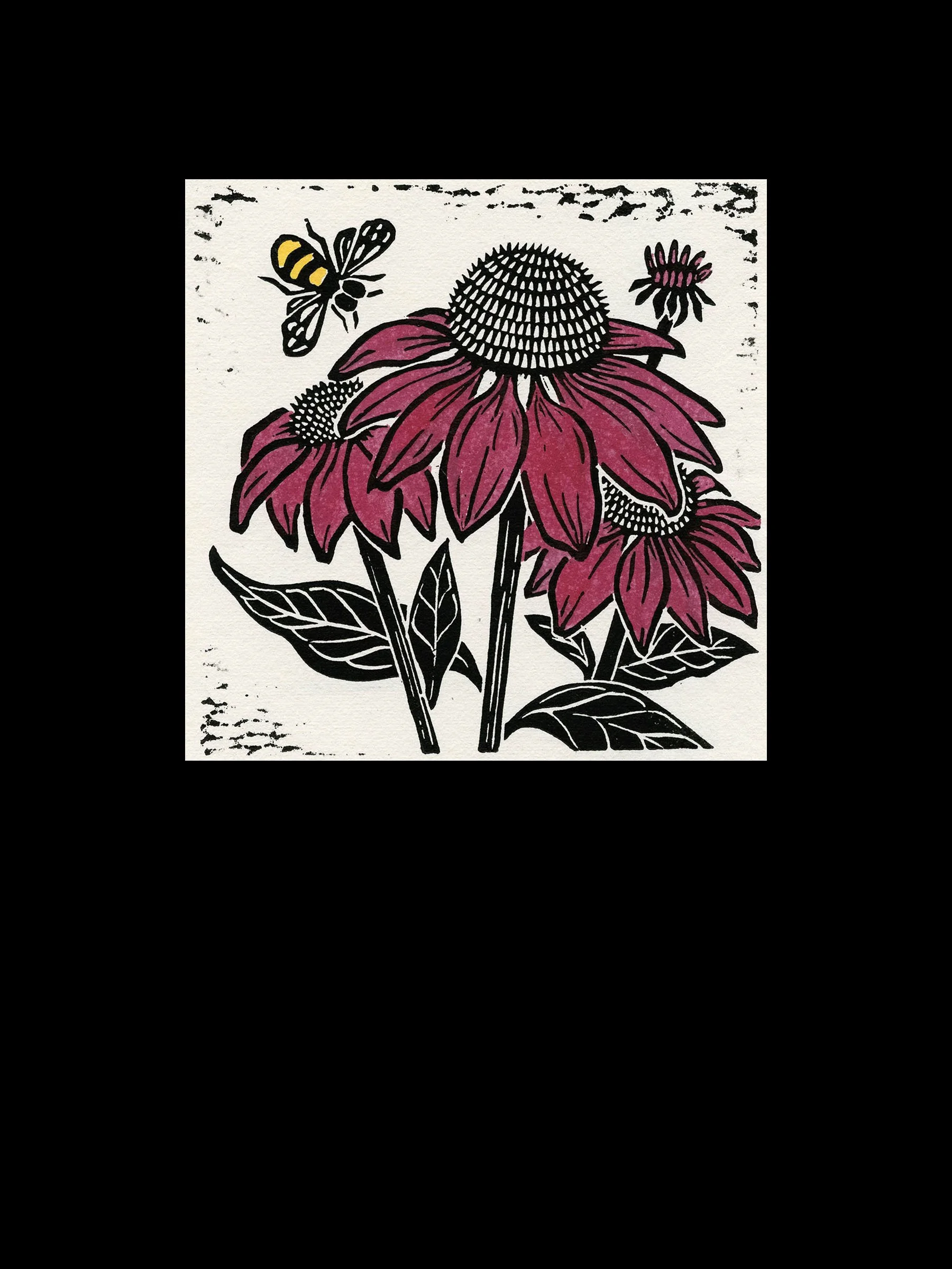 Coneflower