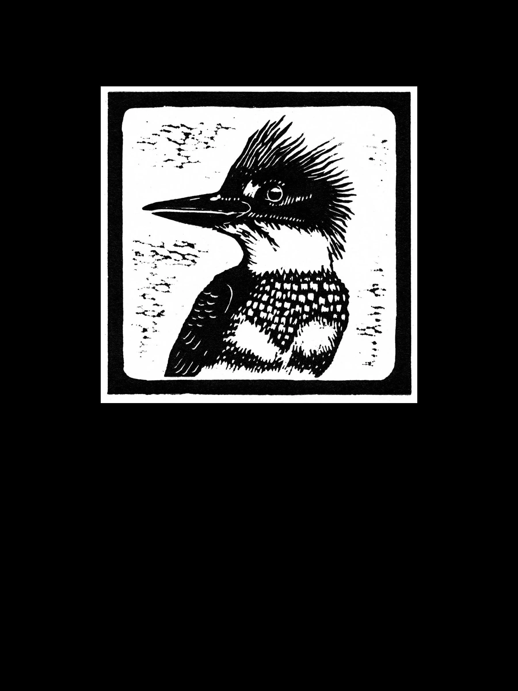 Kingfisher_II.jpg