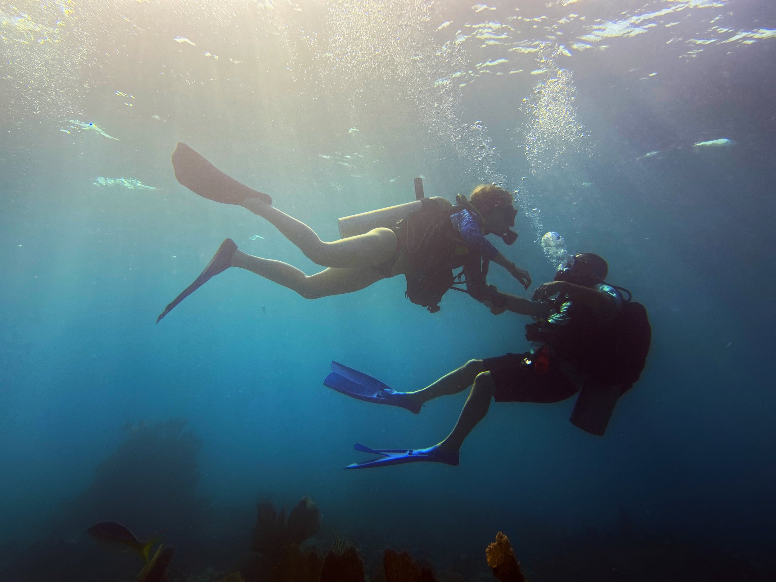 Discover Scuba Diving