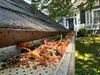 Eastern Gutter Workx Inc photo 4