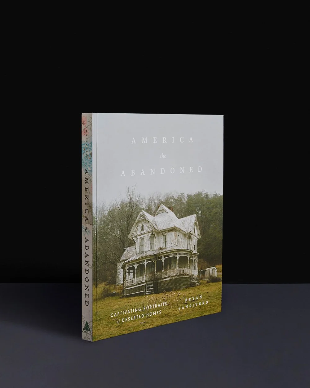America the Abandoned