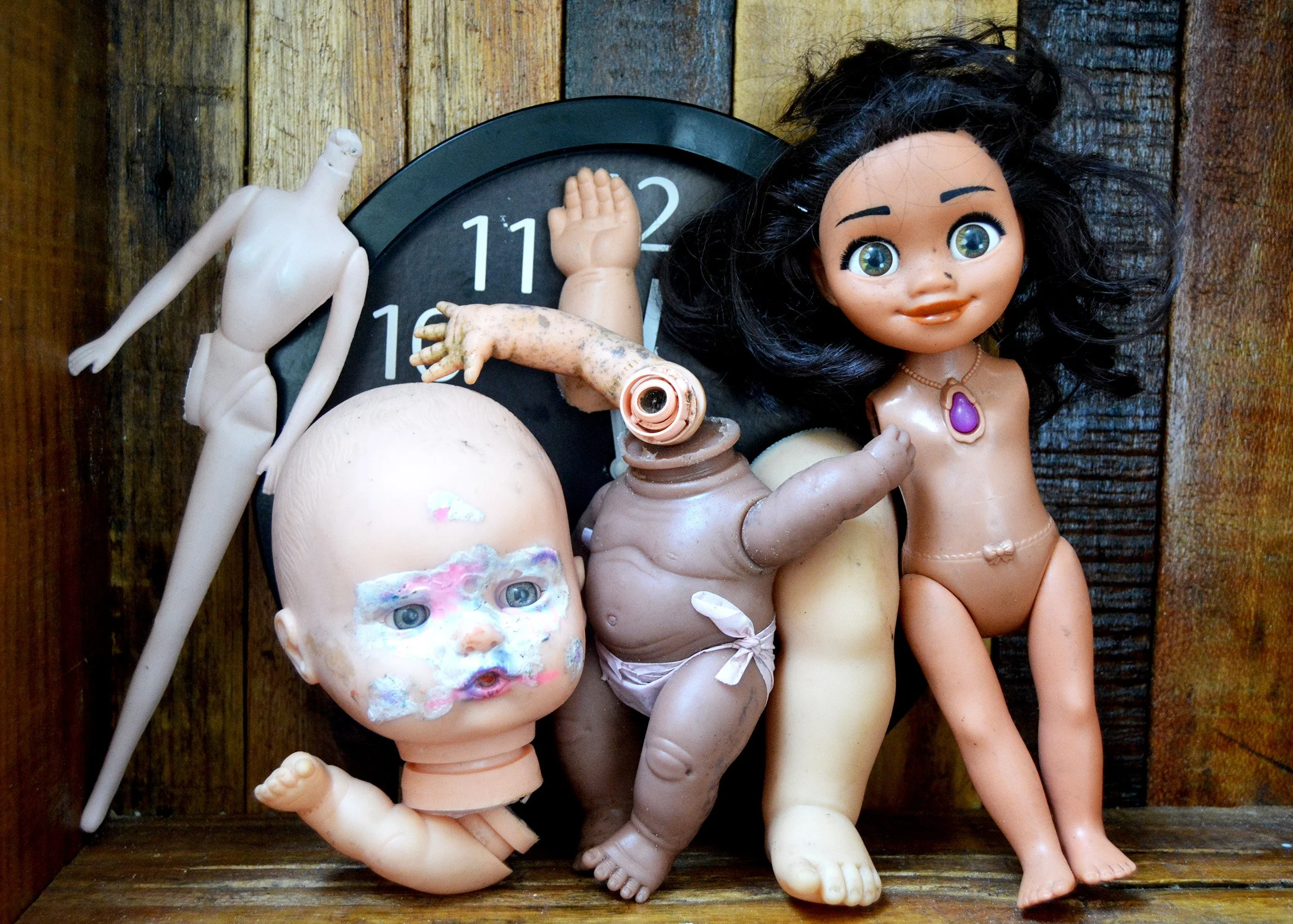 ALERT: Democracy Dismembered