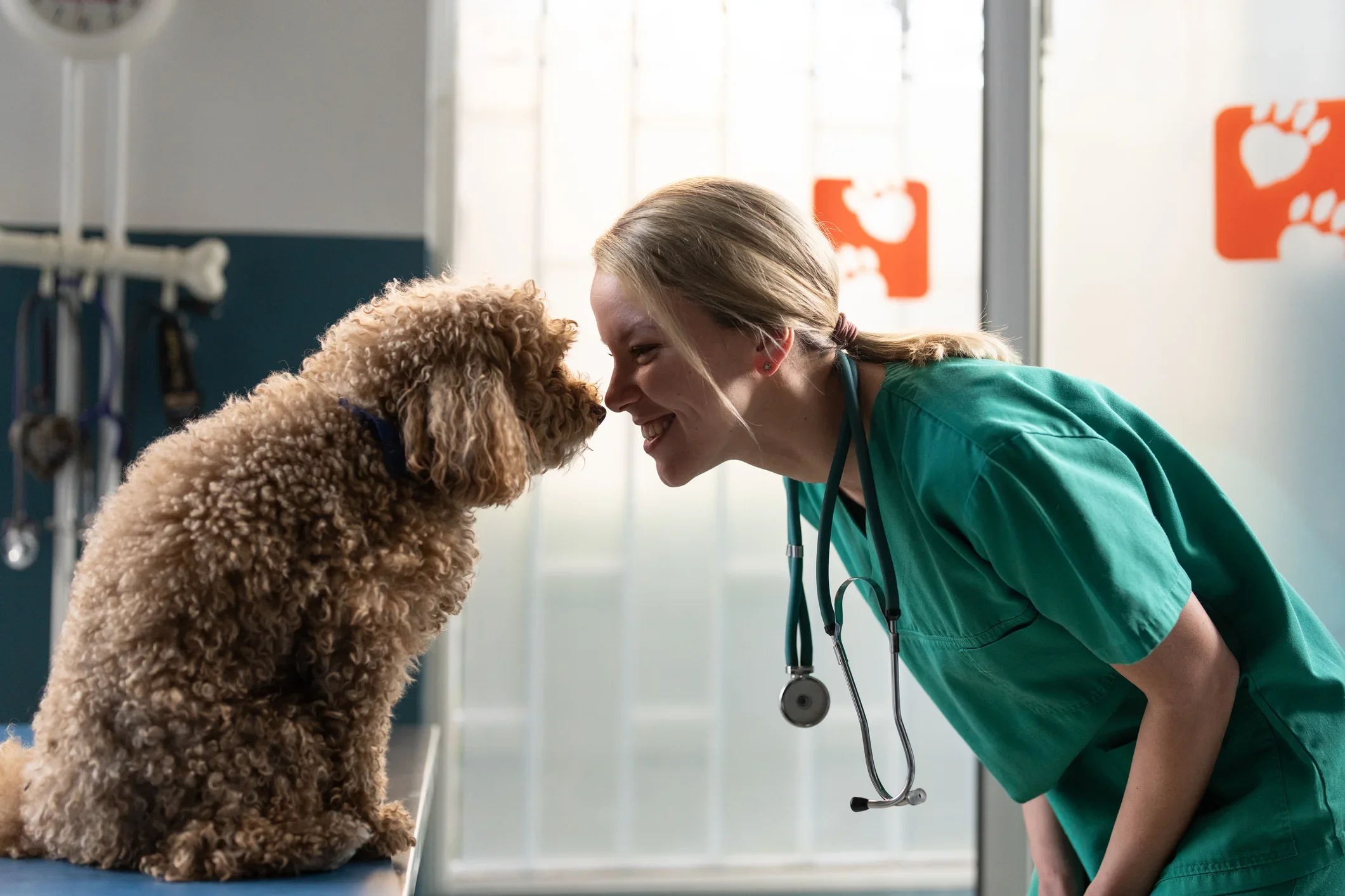 Recommended Reading for Veterinary Care
