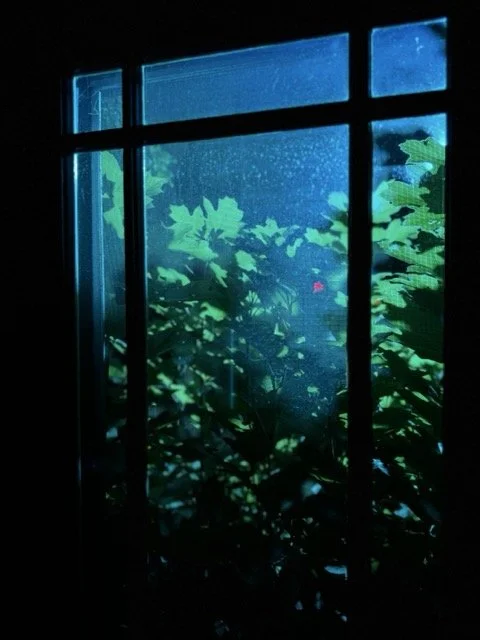 IMG_2177 Medium.jpeg