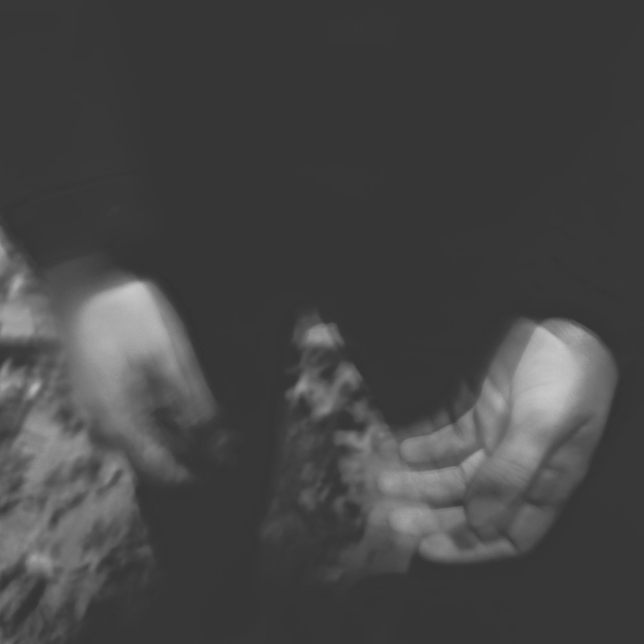 IMG_2403.jpeg