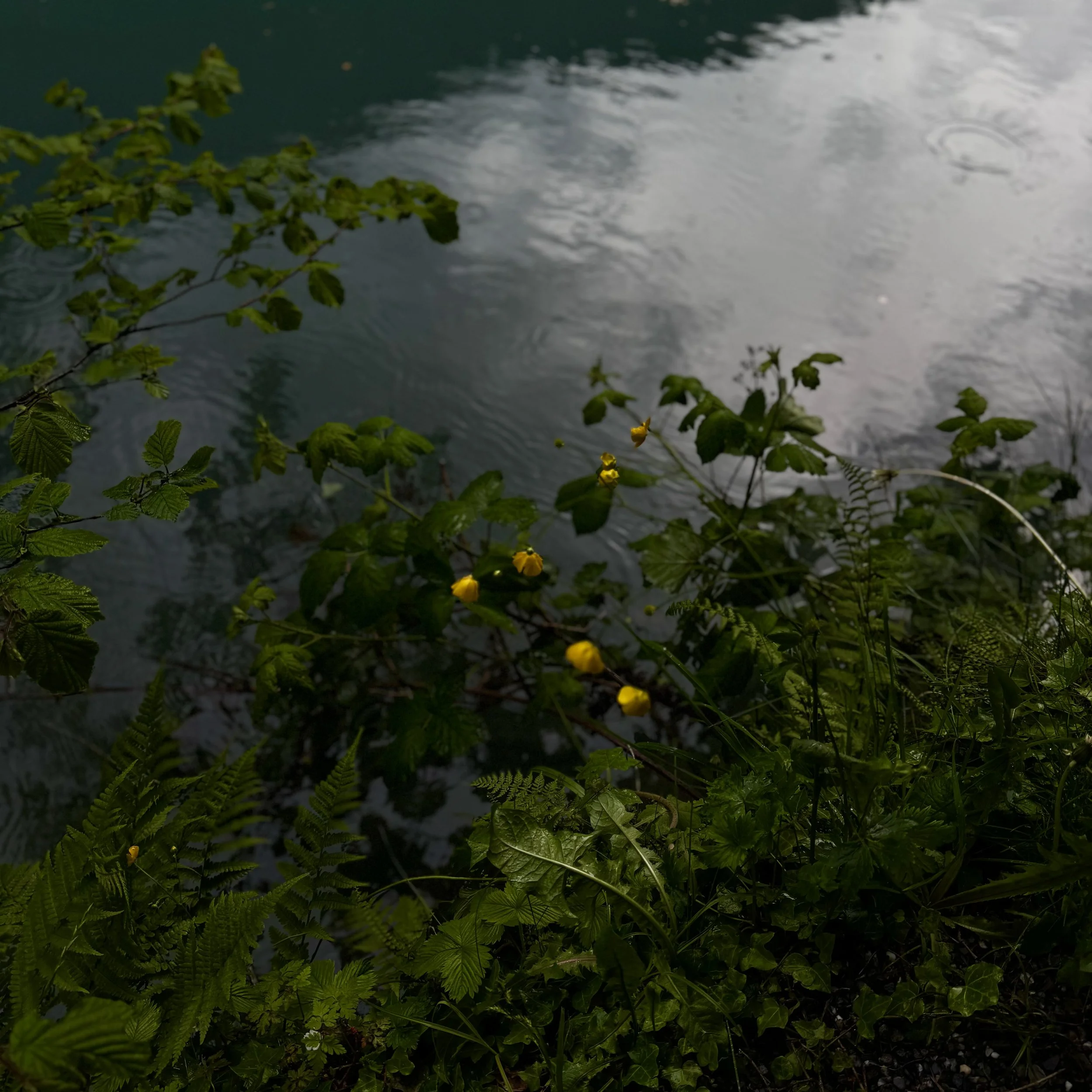 IMG_7978 2.jpeg