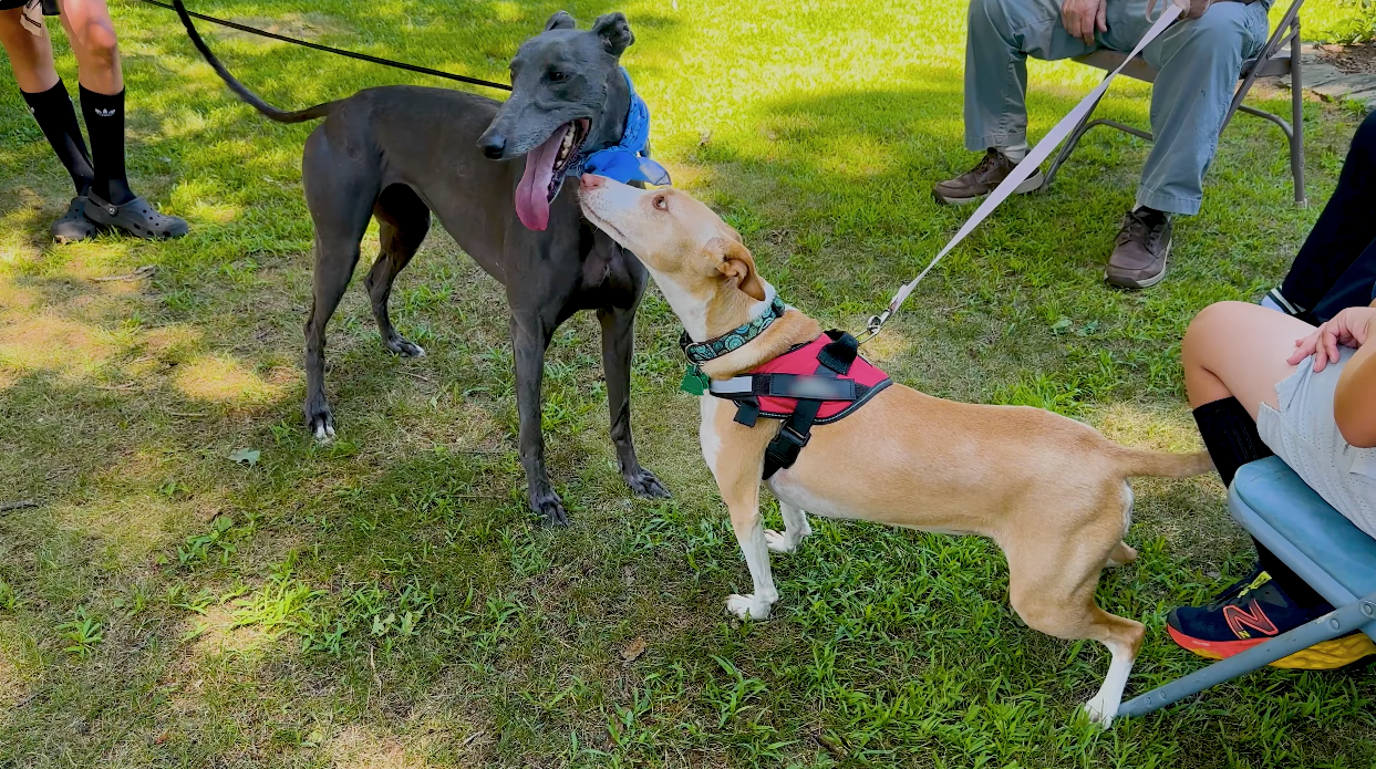 Fast Friends Reunion 2025