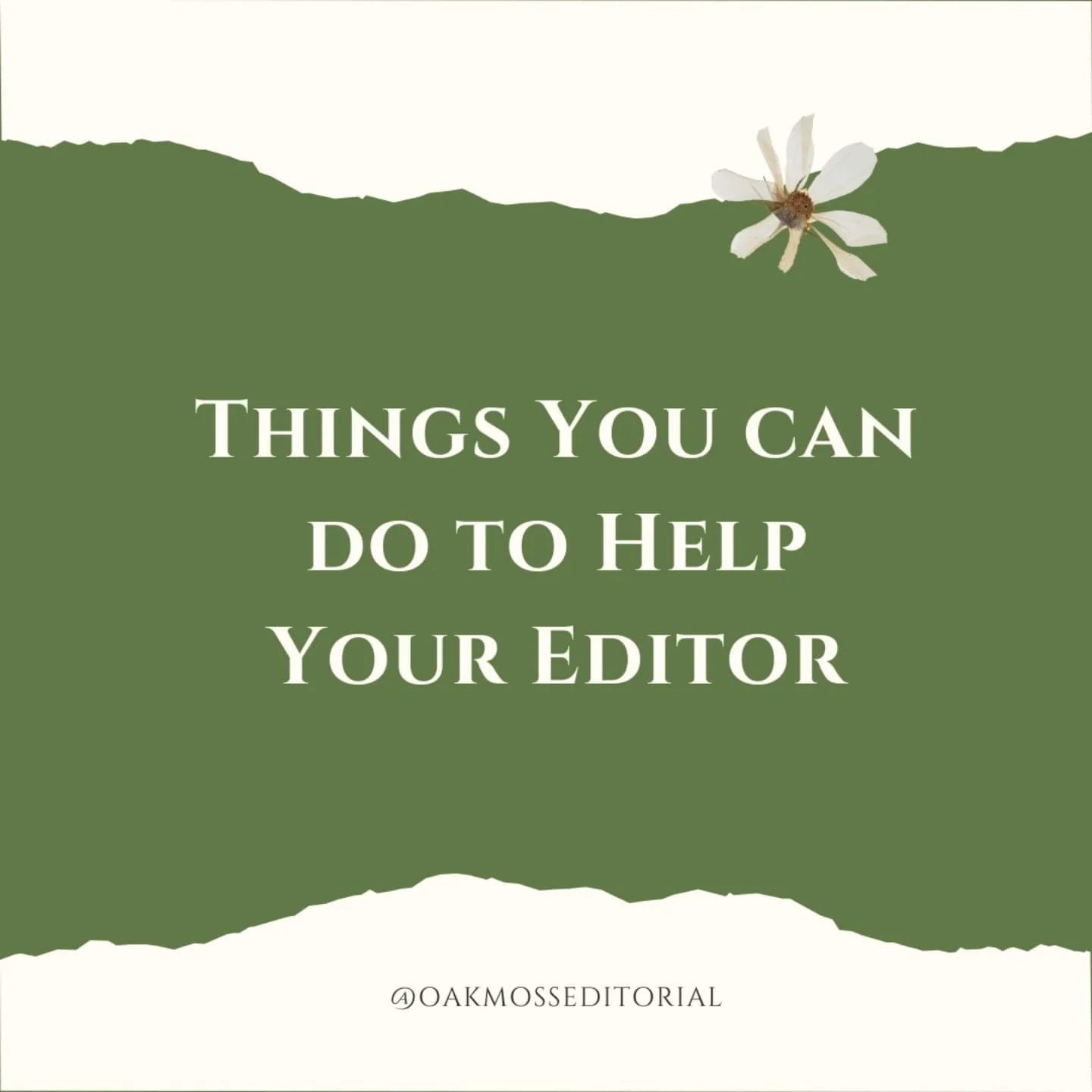 Swipe through to take a look at how you can help your editor! Spoiler: Most of these tips will end up helping YOU as well. 🥰

#authorsofinstagram #fantasyauthor #romanceauthor #scifiauthor #writingcommunity #bookcommunity